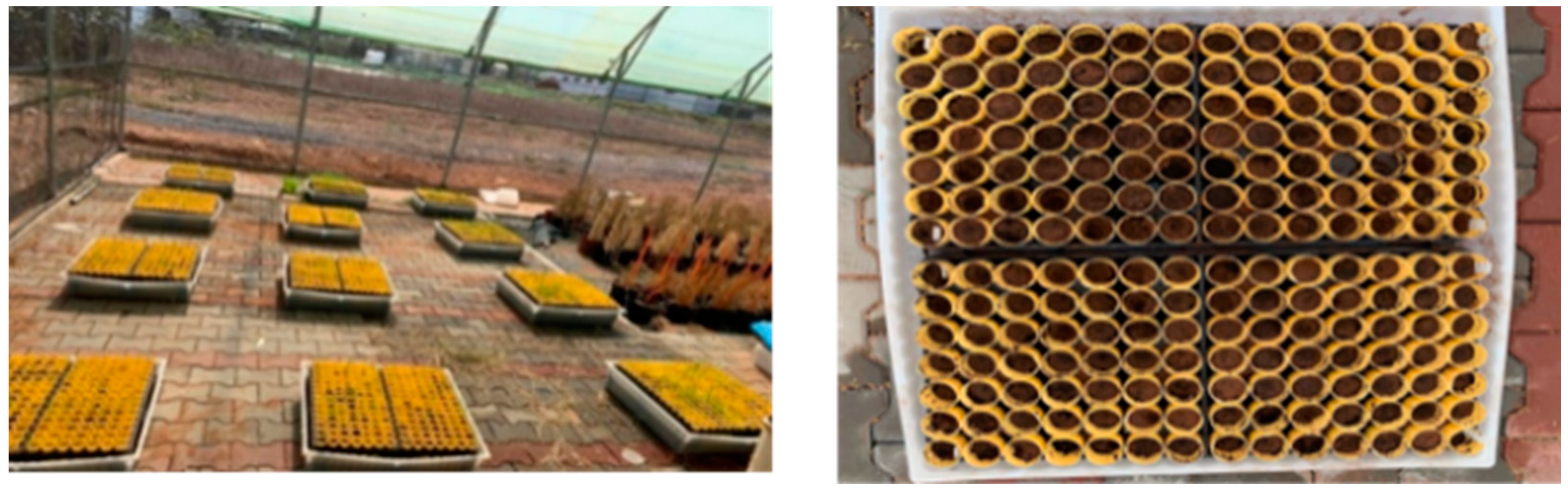 Environsciproc 16 00034 g001