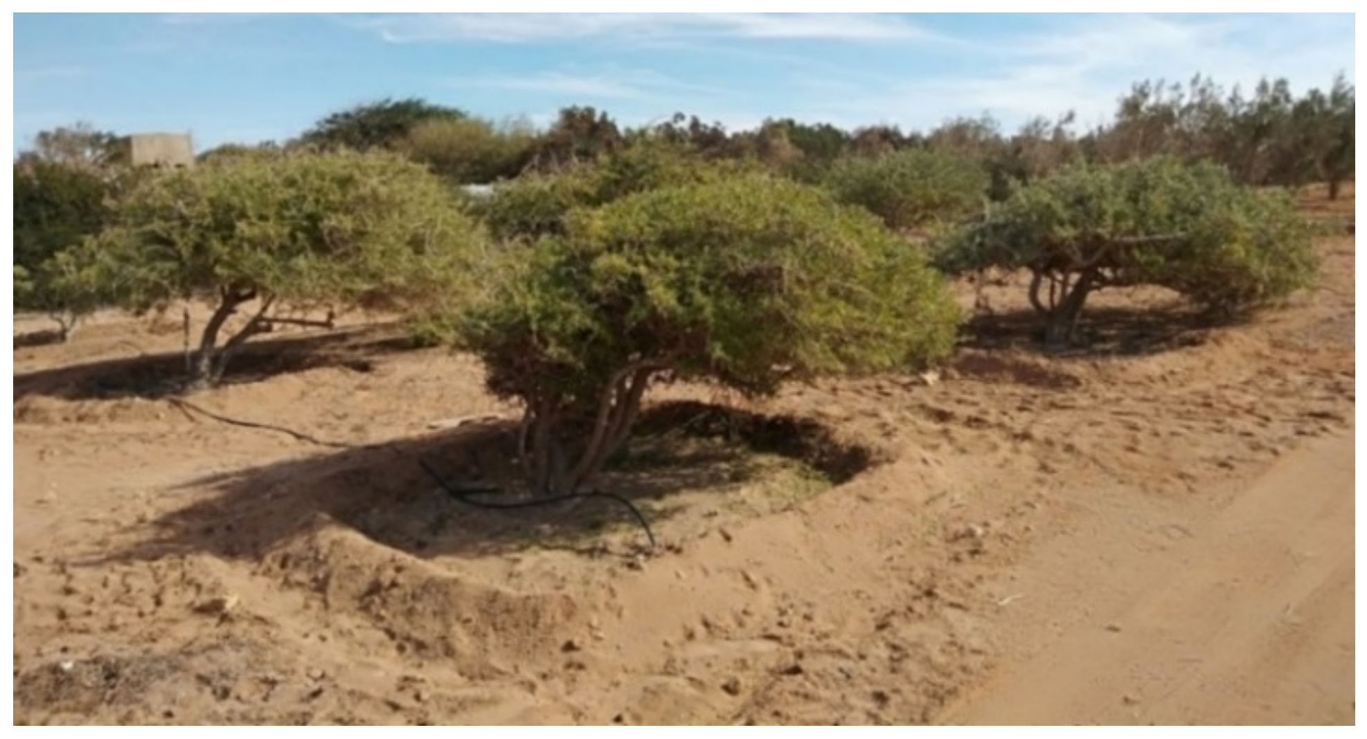 Environsciproc 16 00045 g001