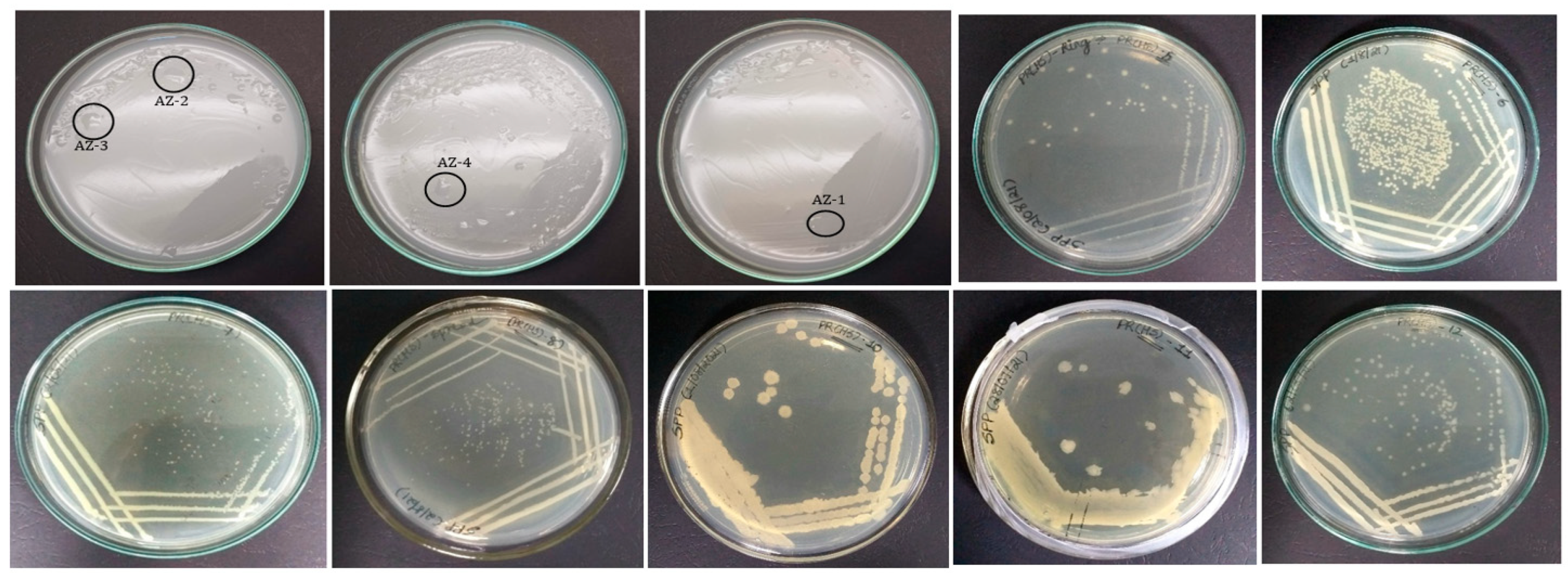 Environsciproc 16 00069 g001