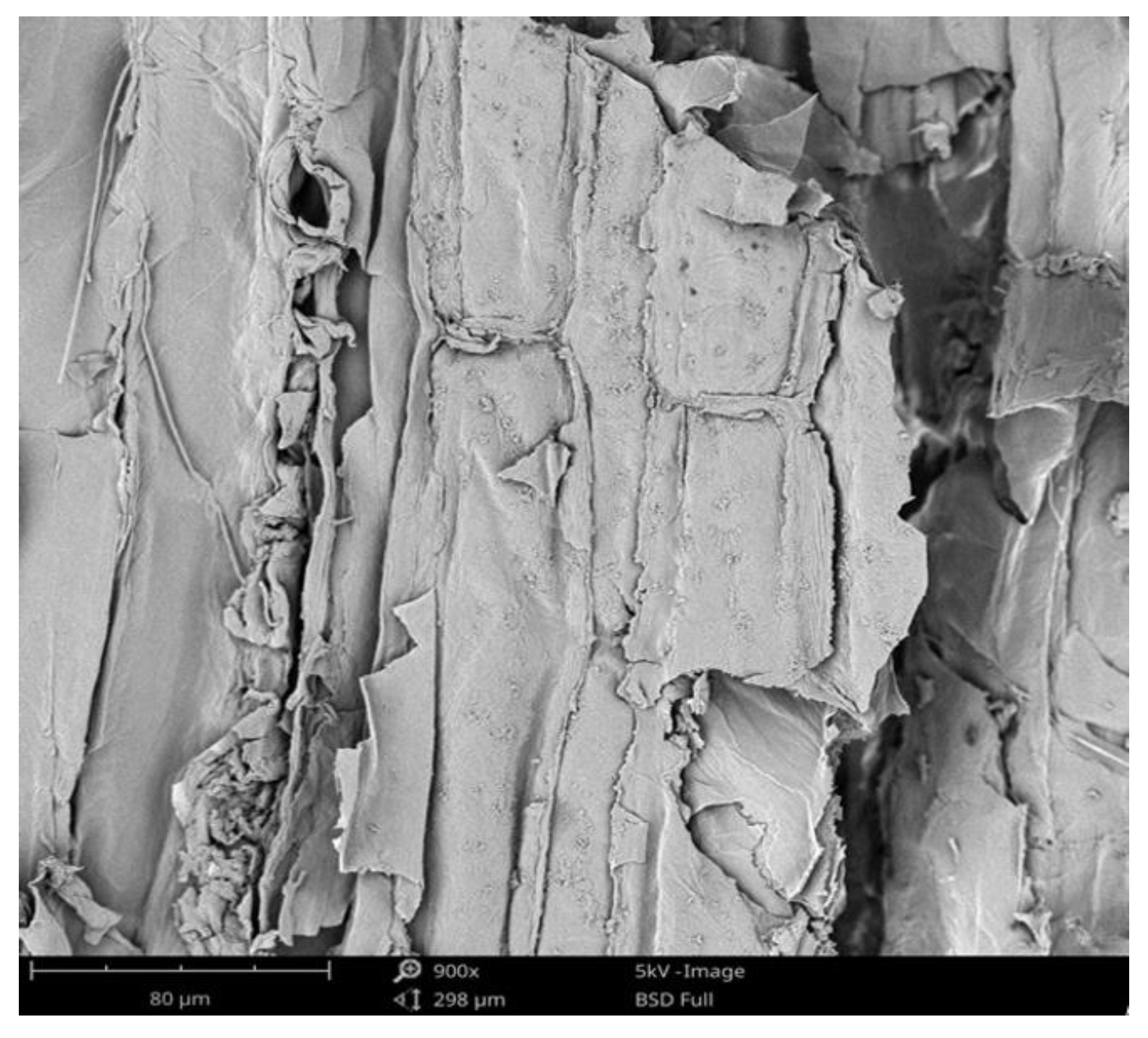 Environsciproc 21 00051 g002