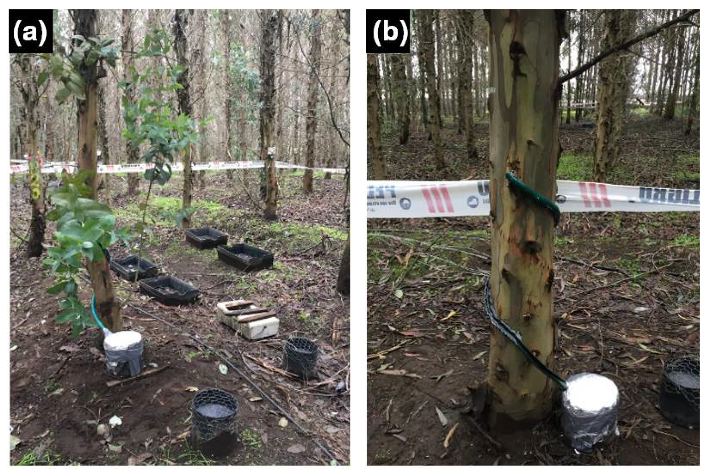 Environsciproc 22 00045 g001