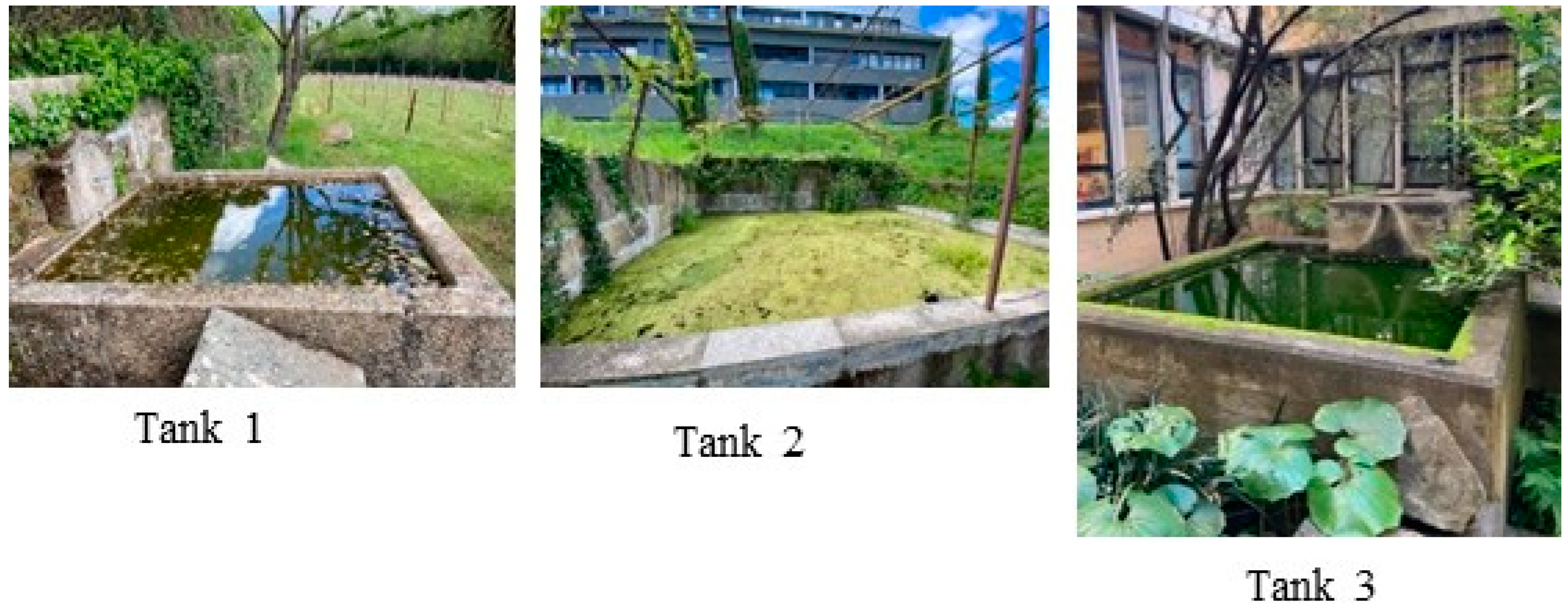 Environsciproc 24 00007 g001