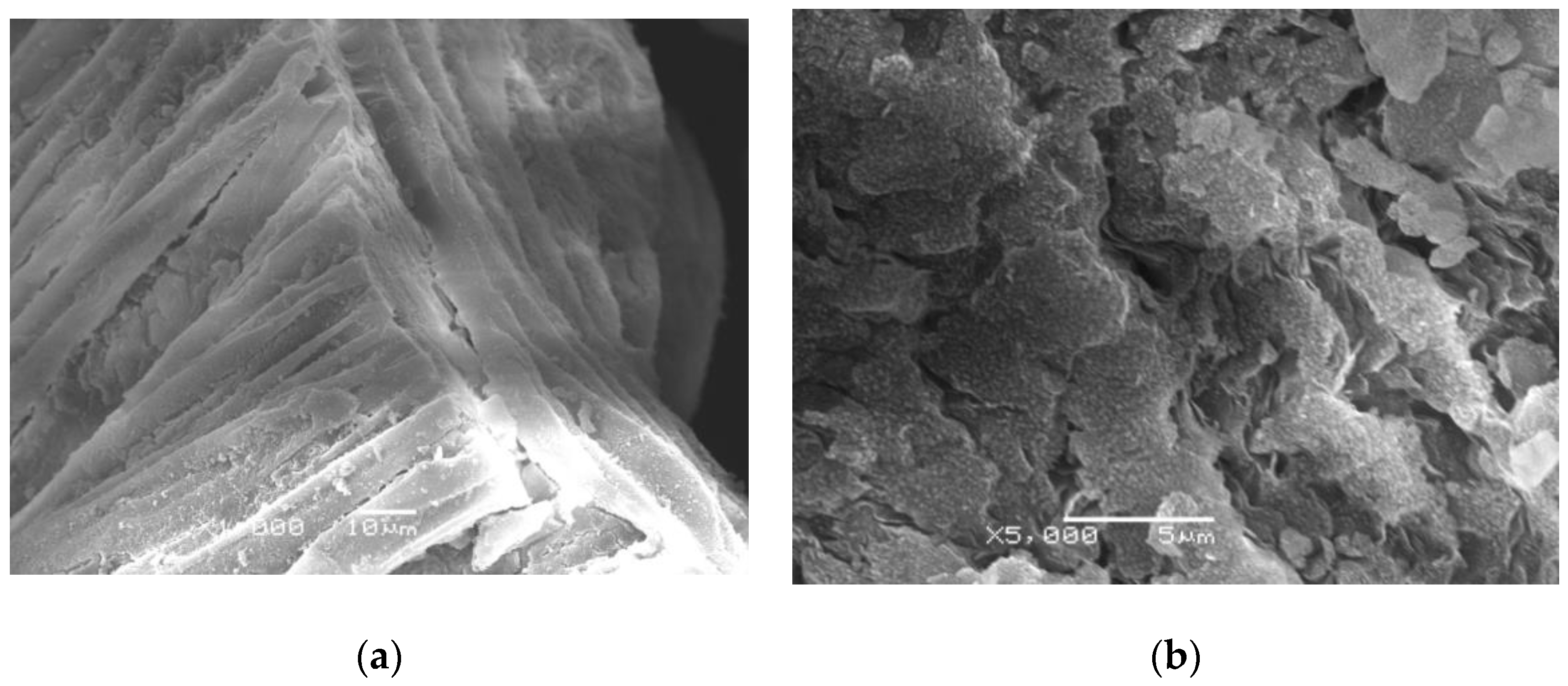 Environsciproc 25 00034 g002