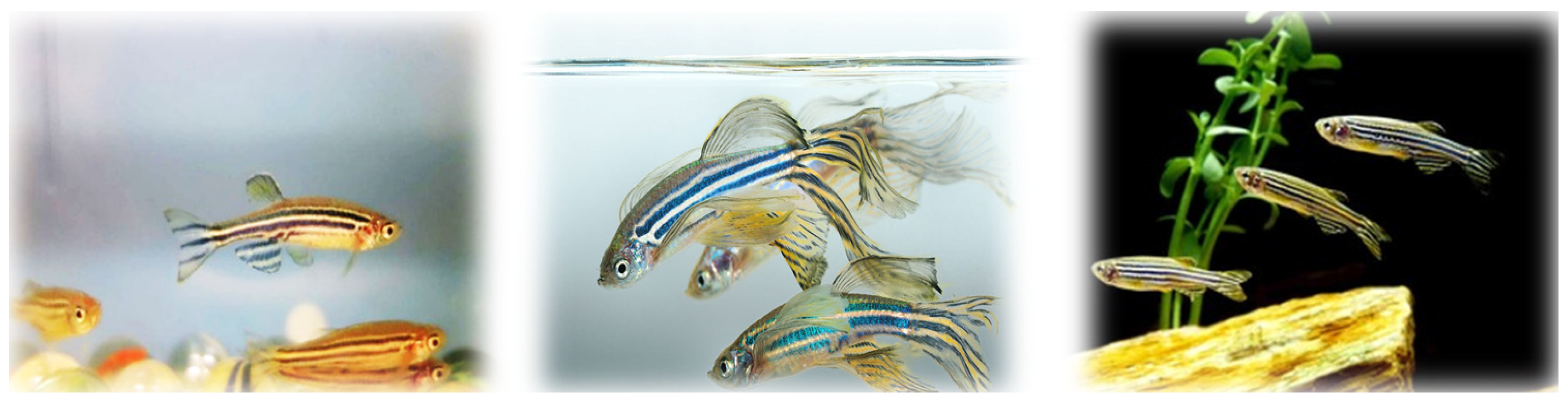 Environsciproc 25 00069 g002