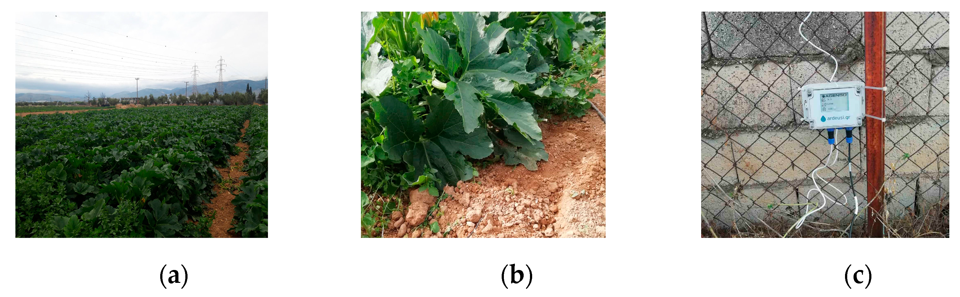 Environsciproc 26 00183 g002