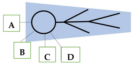 Epidemiologia 05 00041 i002