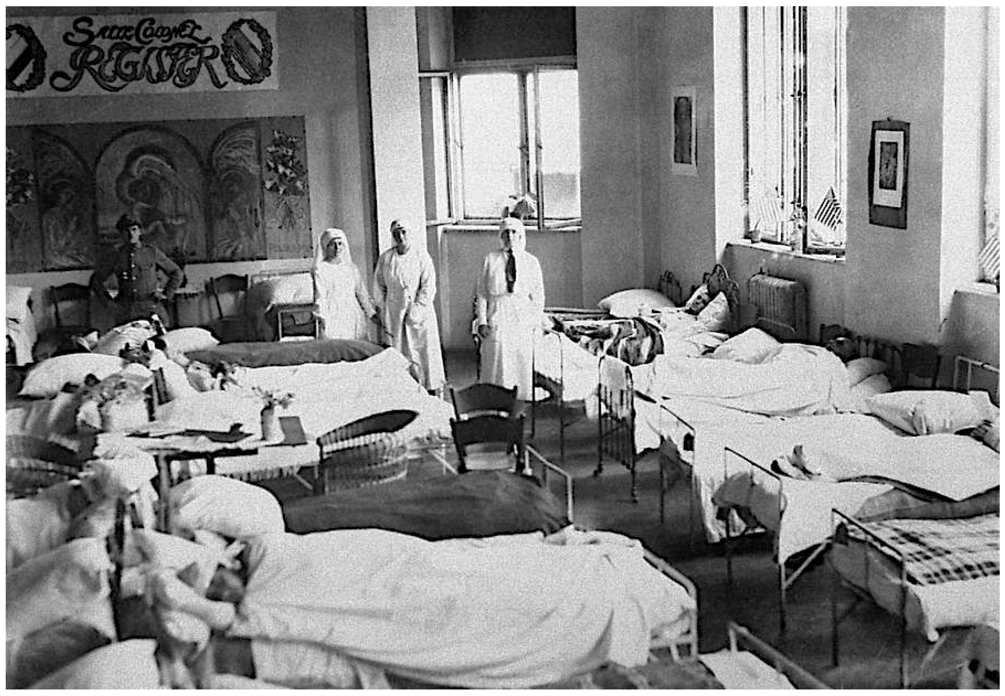 Epidemiologia 05 00051 g008