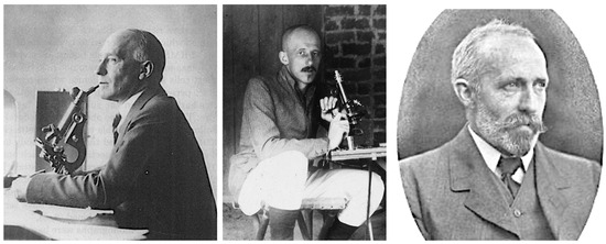 Epidemiologia 05 00051 g0a6