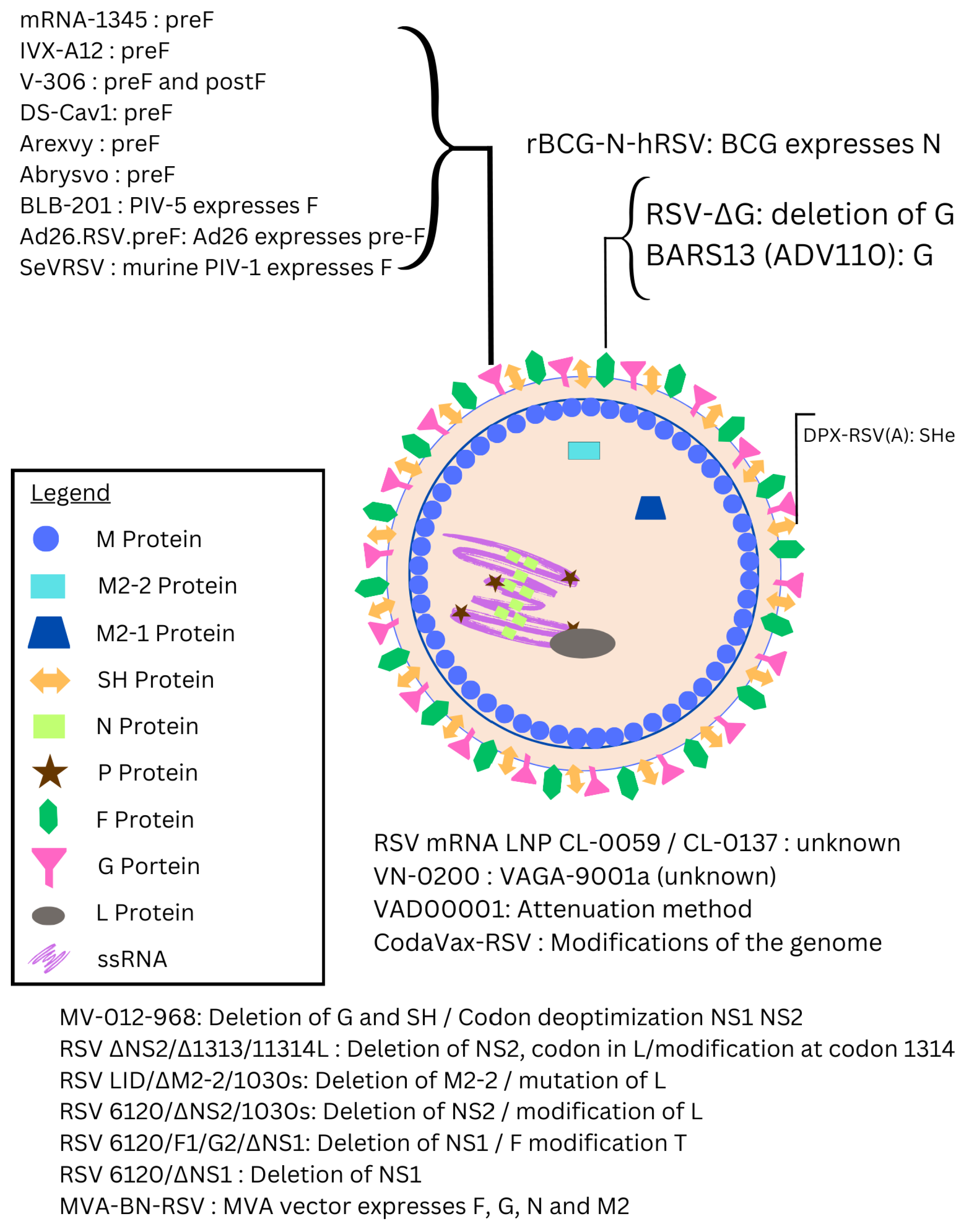 Epidemiologia 06 00016 g001 Epidemiologia 06 00016 g001