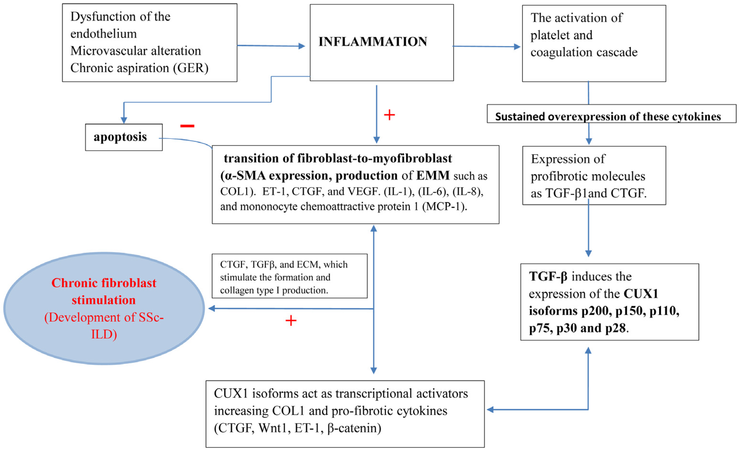 Epidemiologia 06 00041 g004 Epidemiologia 06 00041 g004