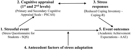 Interactive Model of Human Adaptation to Stress: Measures Used in our Study.