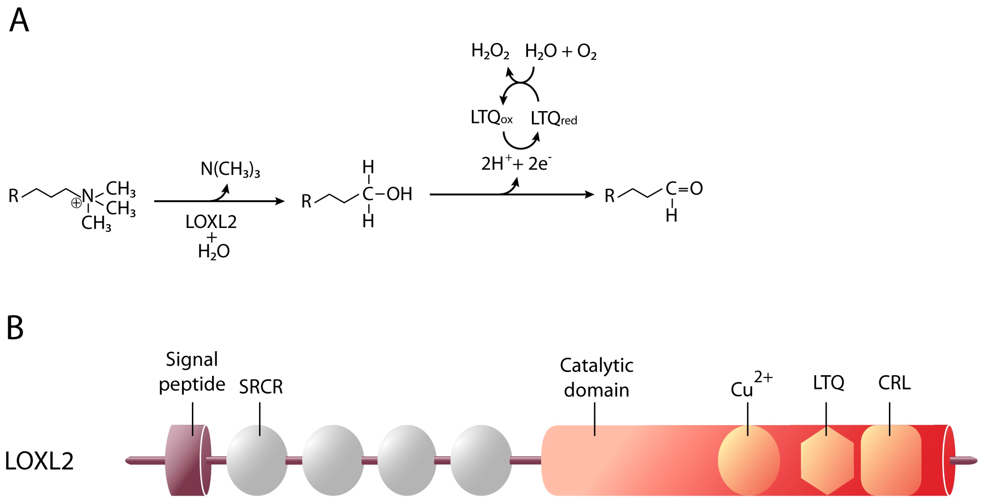 Epigenomes 01 00004 g004