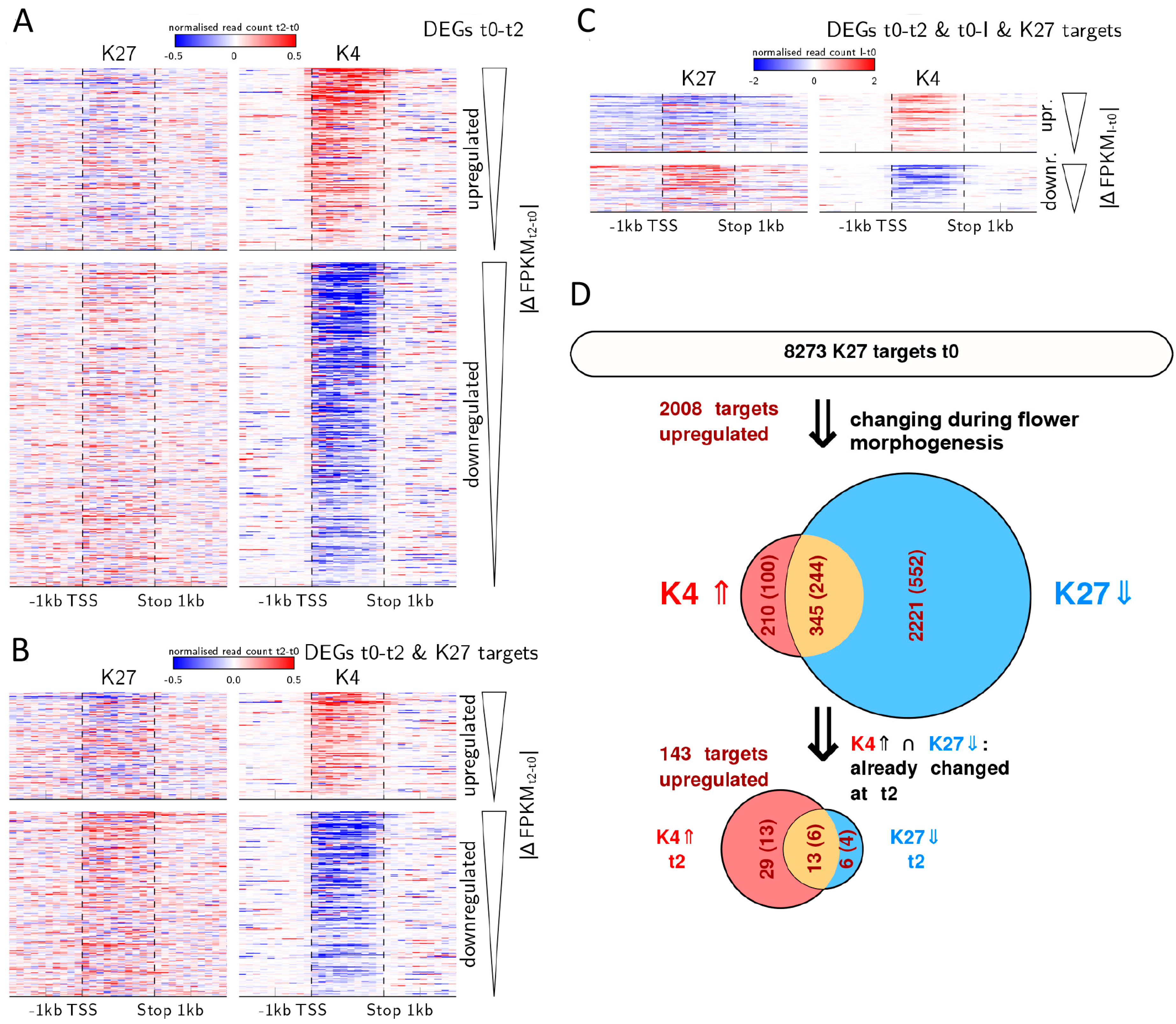 Epigenomes 01 00008 g005