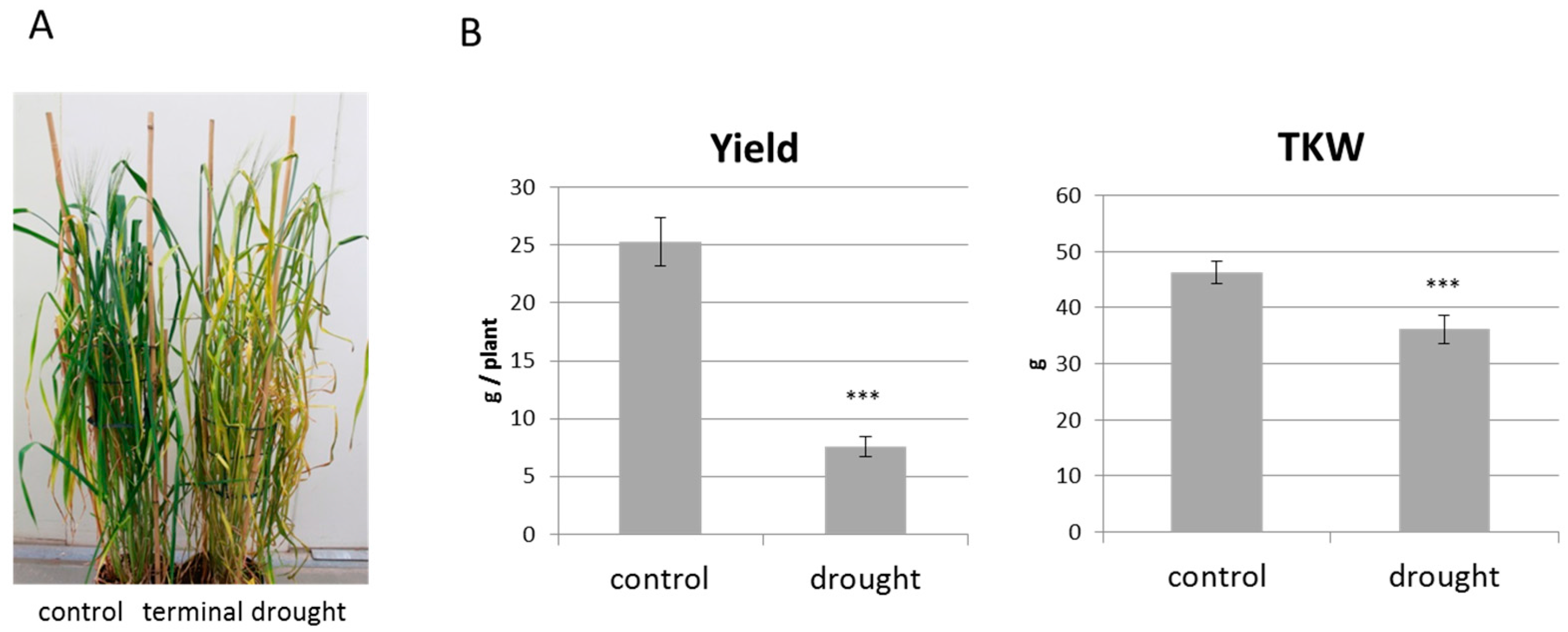 Epigenomes 01 00009 g001