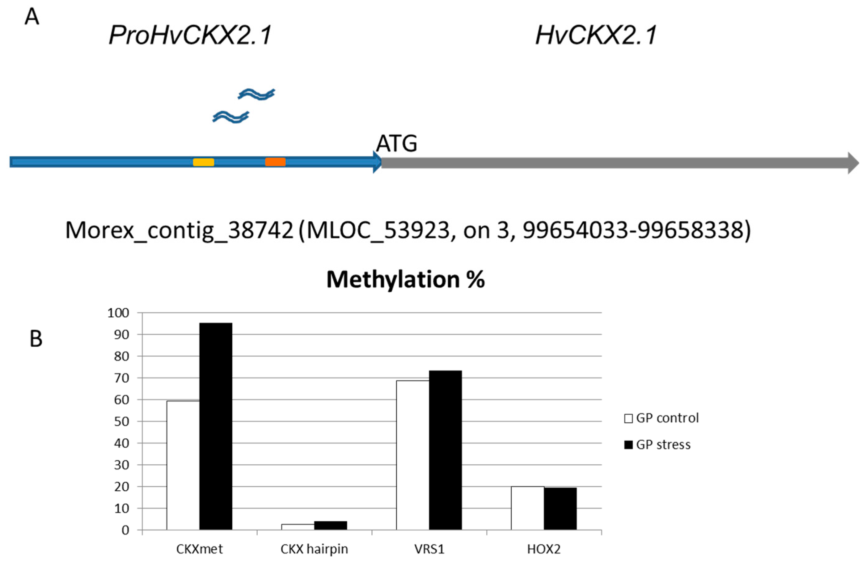 Epigenomes 01 00009 g002
