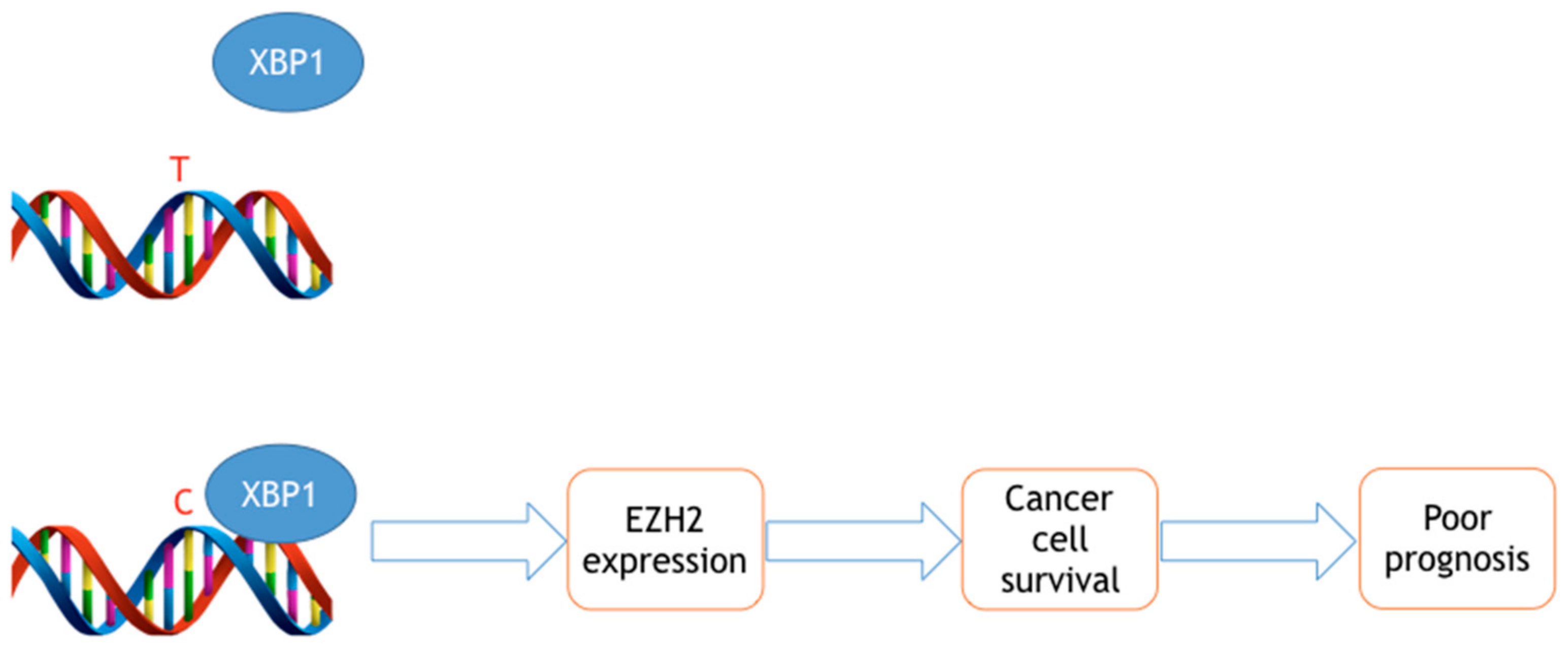 Epigenomes 01 00018 g001