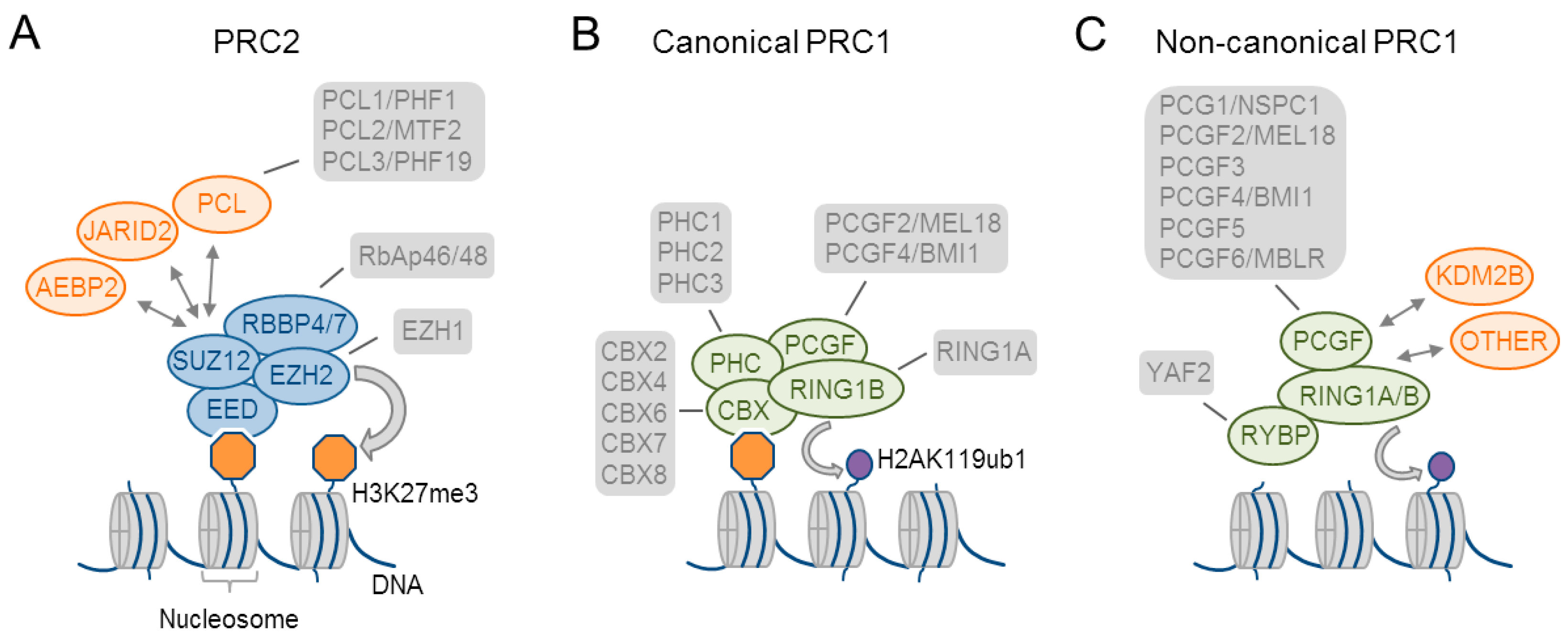 Epigenomes 01 00021 g001