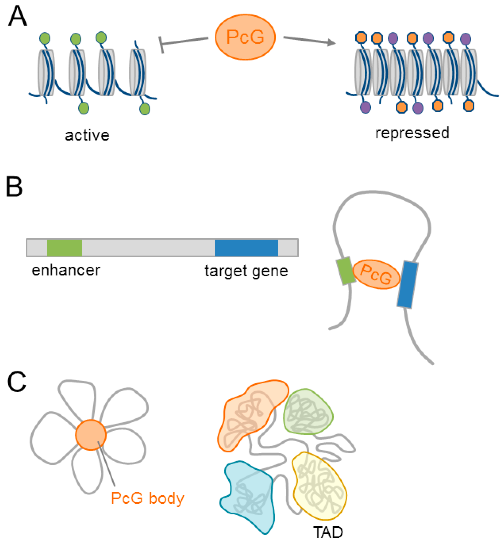 Epigenomes 01 00021 g002
