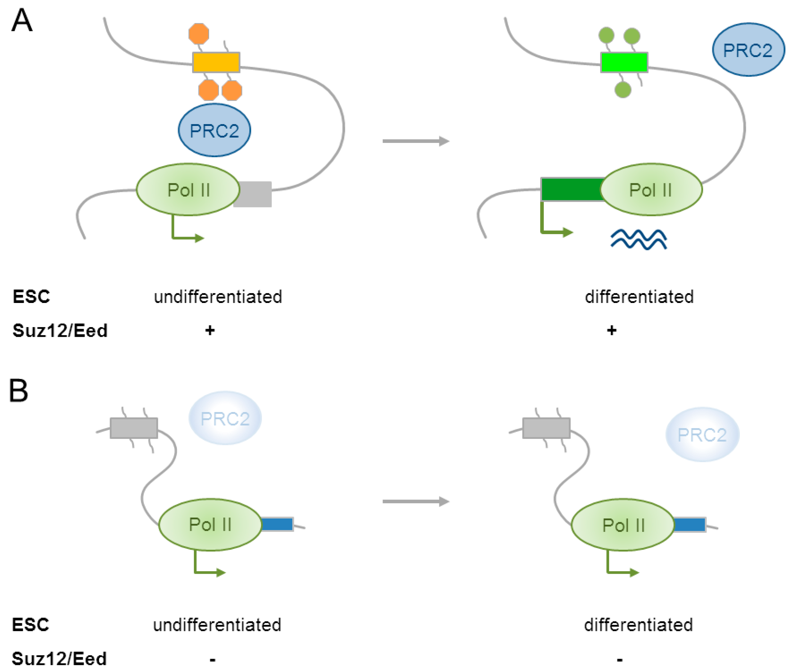 Epigenomes 01 00021 g004