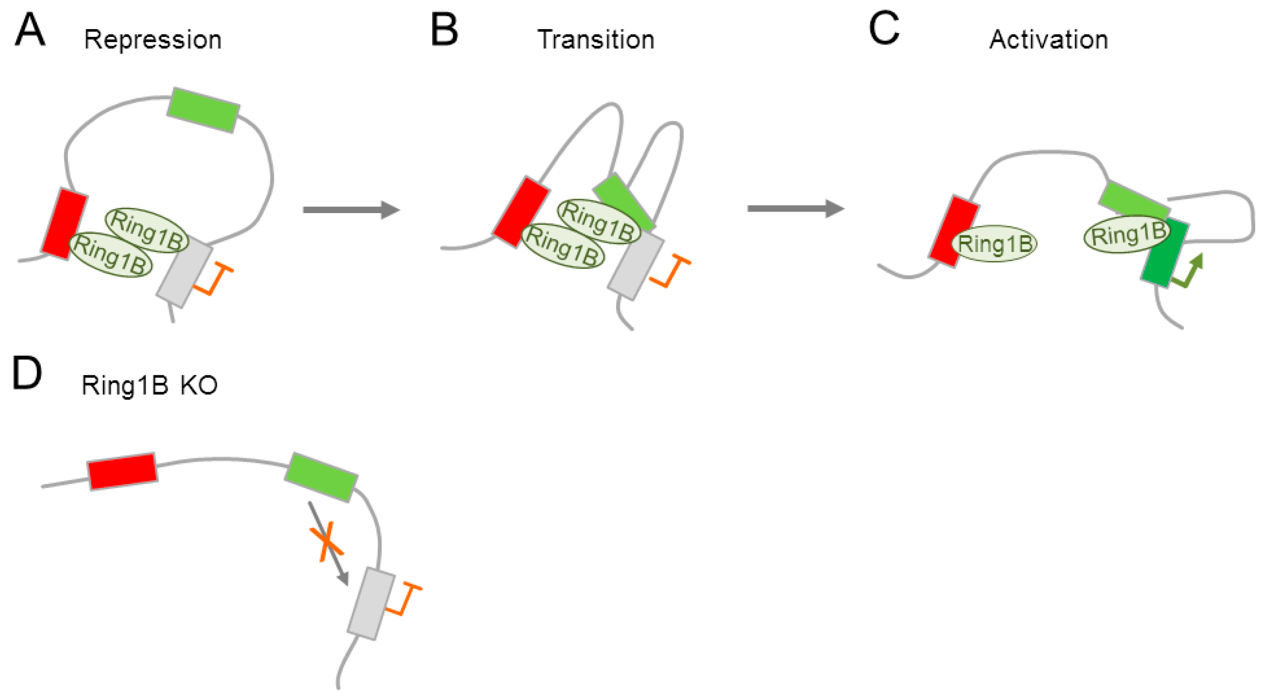 Epigenomes 01 00021 g005