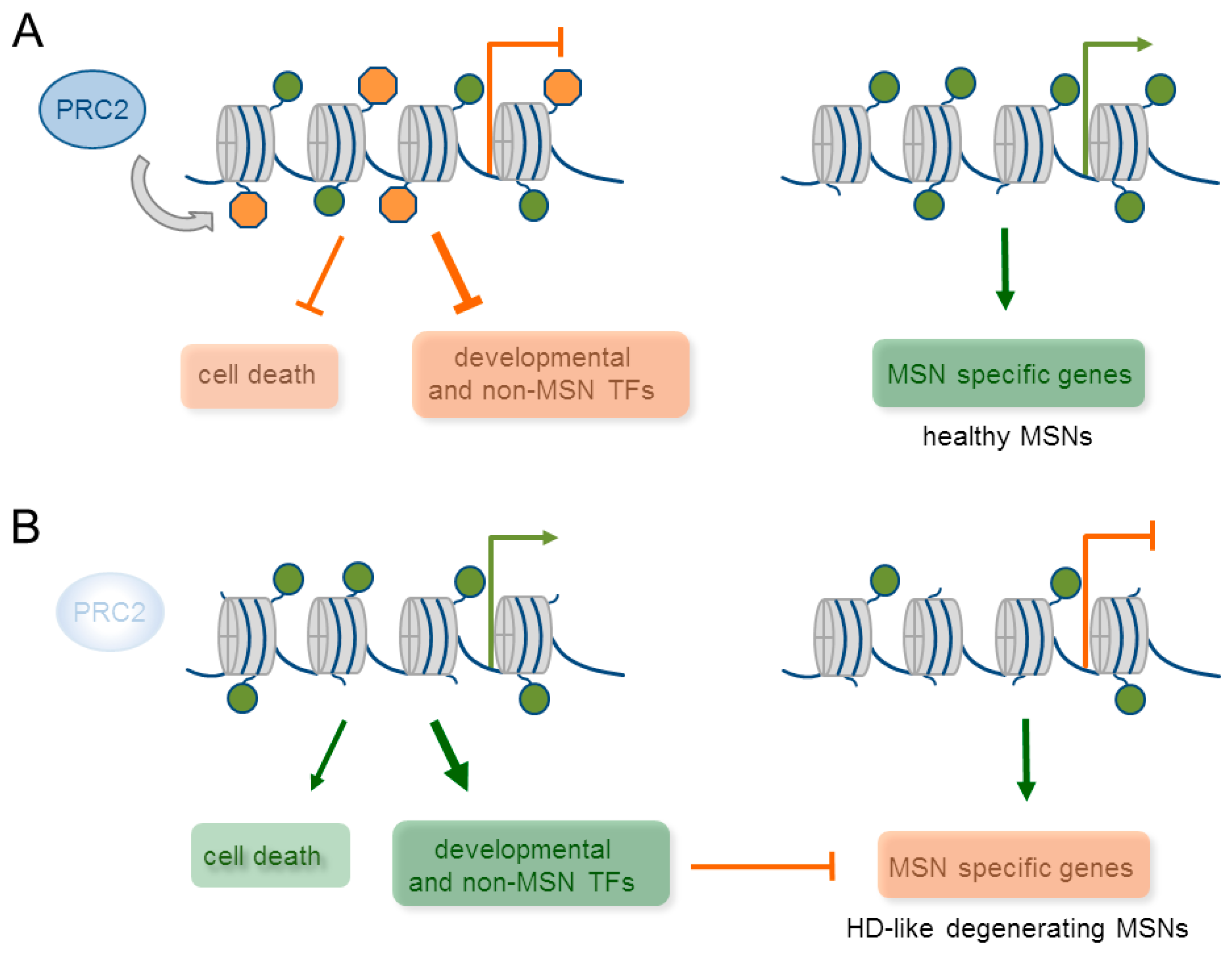 Epigenomes 01 00021 g006