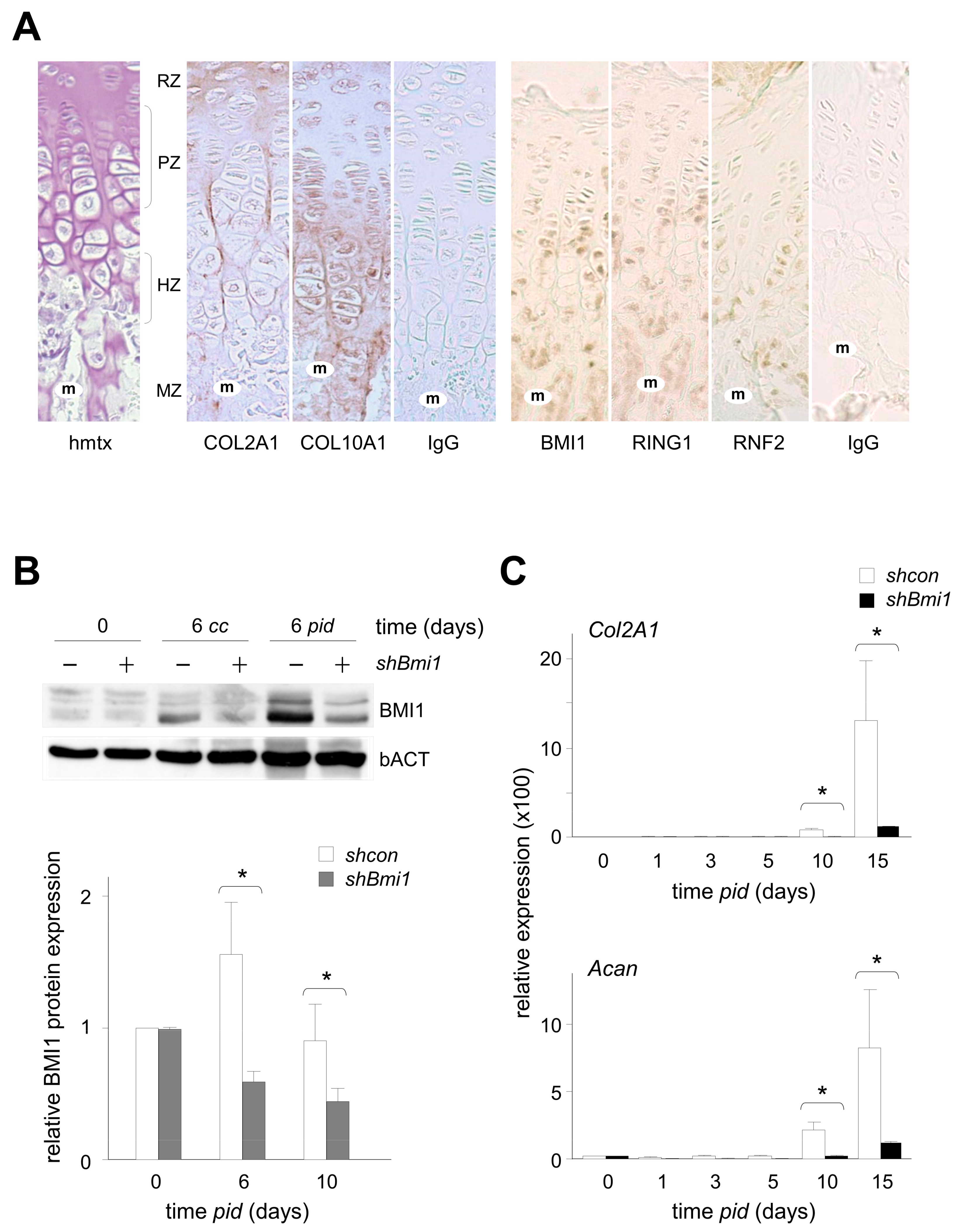 Epigenomes 01 00022 g001