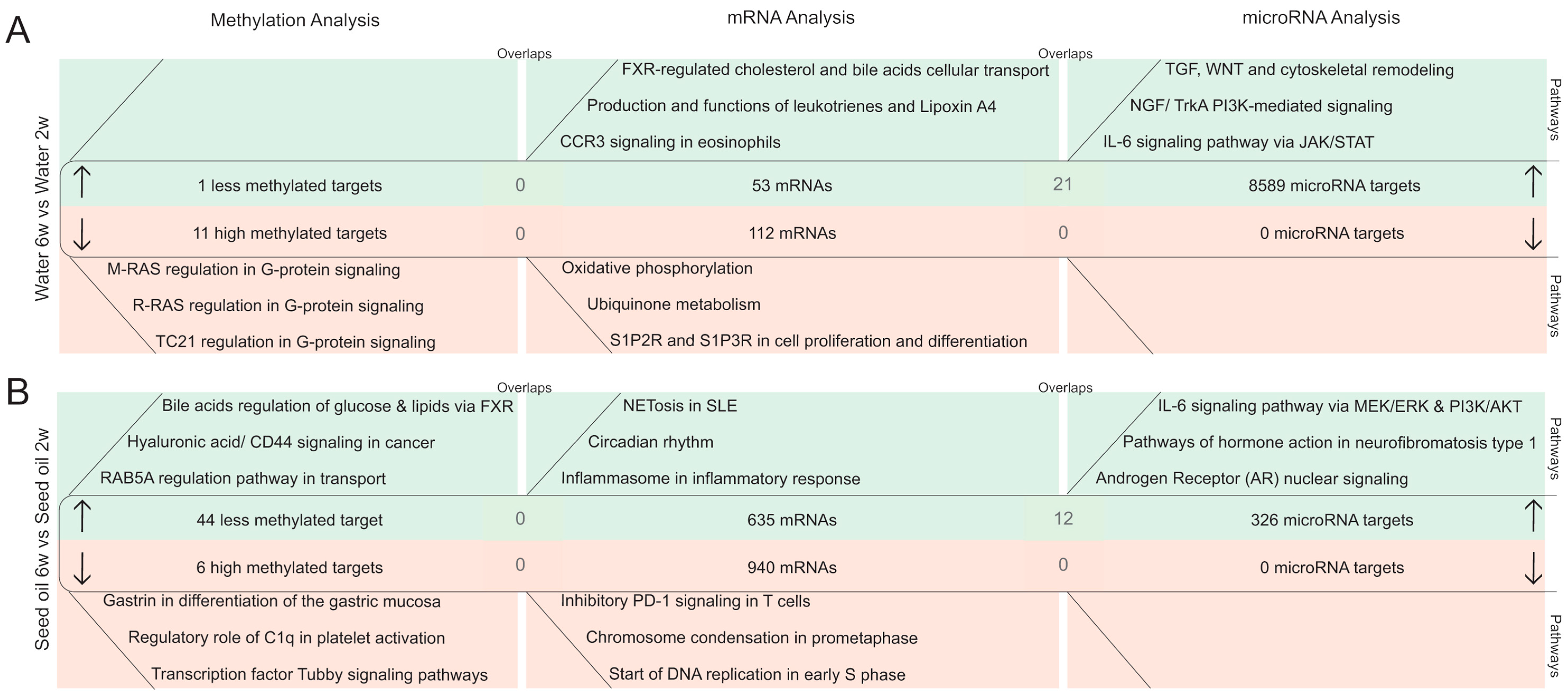 Epigenomes 01 00024 g005