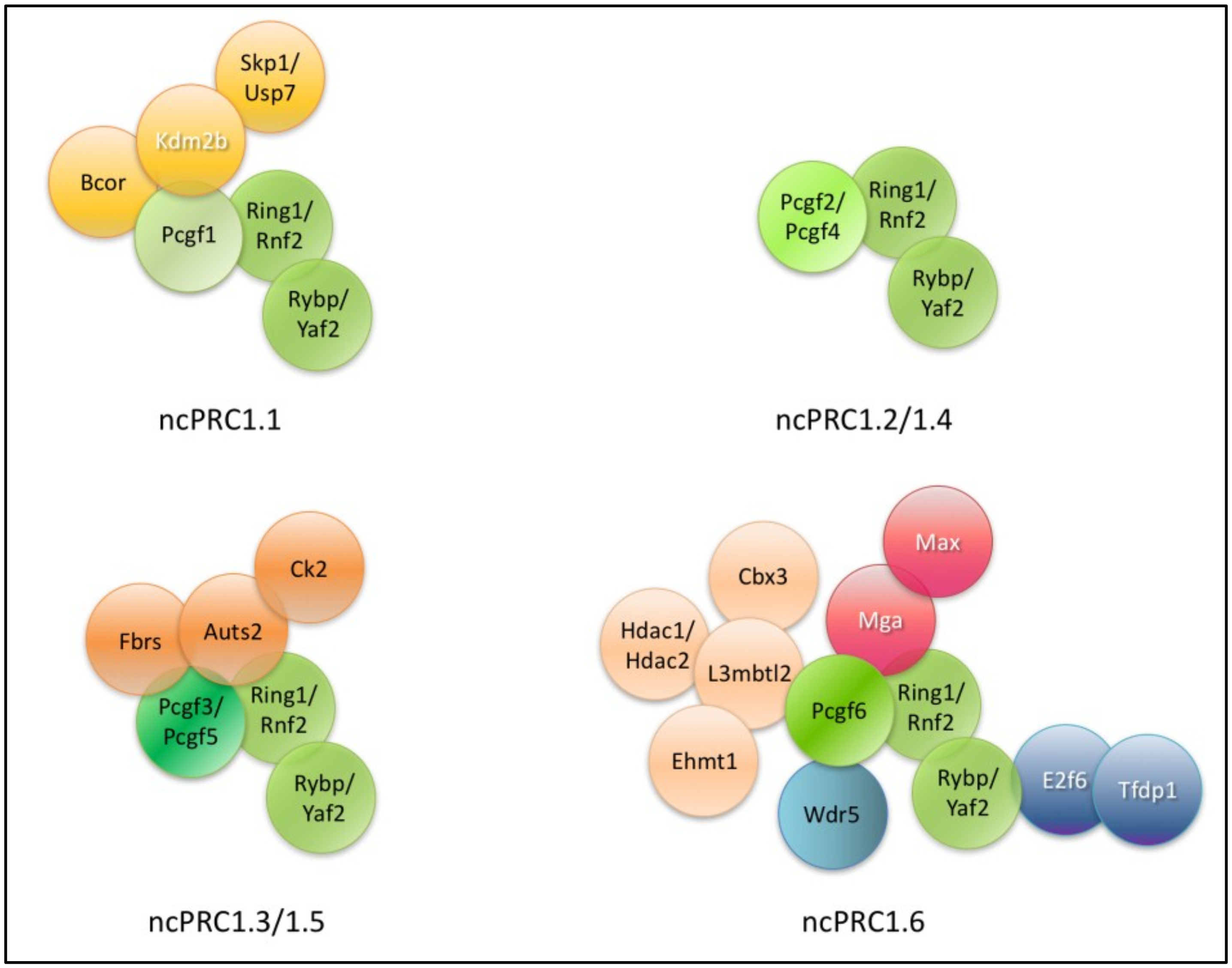 Epigenomes 02 00004 g001