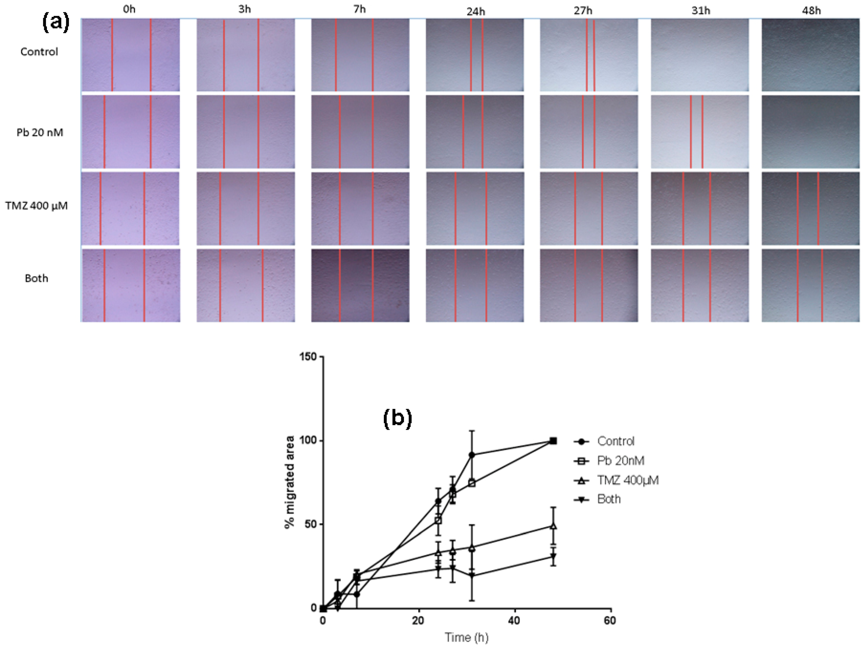 Epigenomes 02 00005 g004