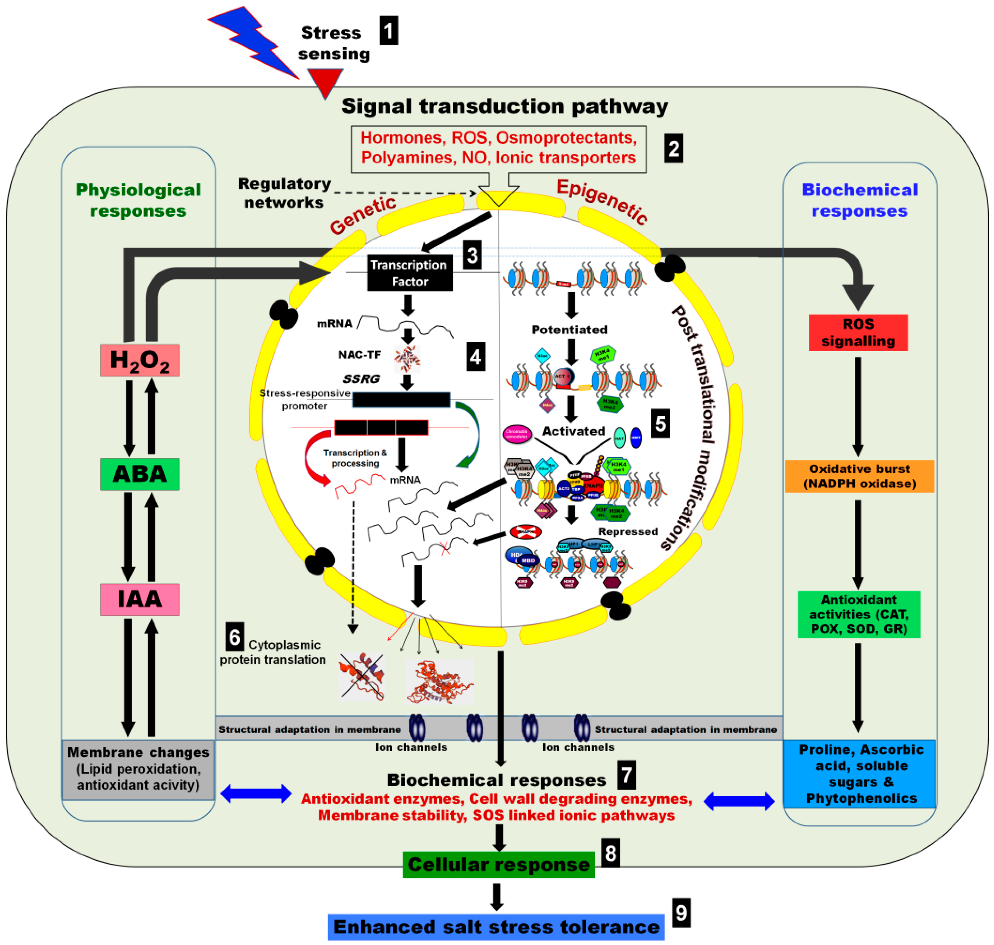 Epigenomes 02 00006 g001 Epigenomes 02 00006 g001