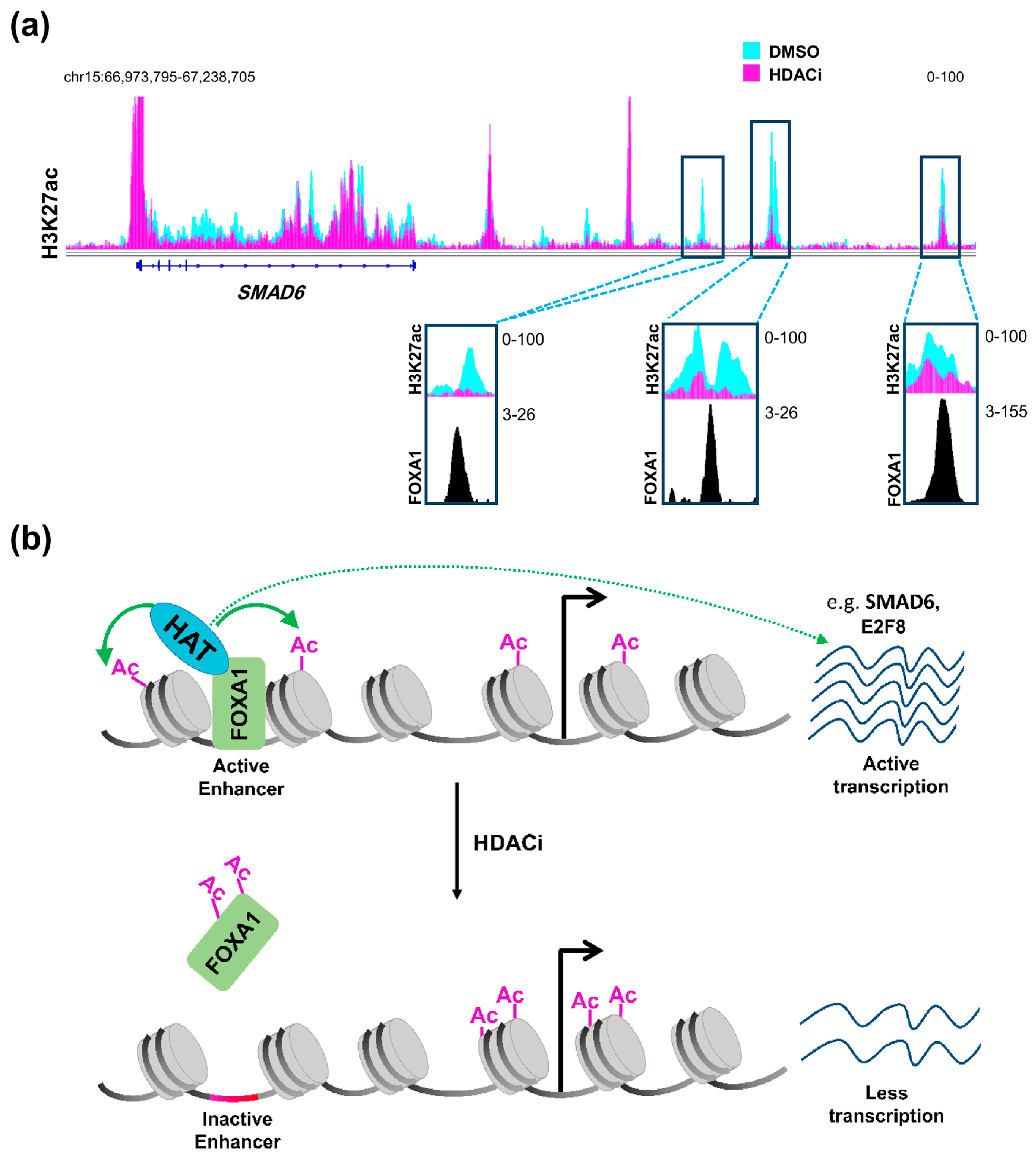 Epigenomes 02 00008 g001 Epigenomes 02 00008 g001