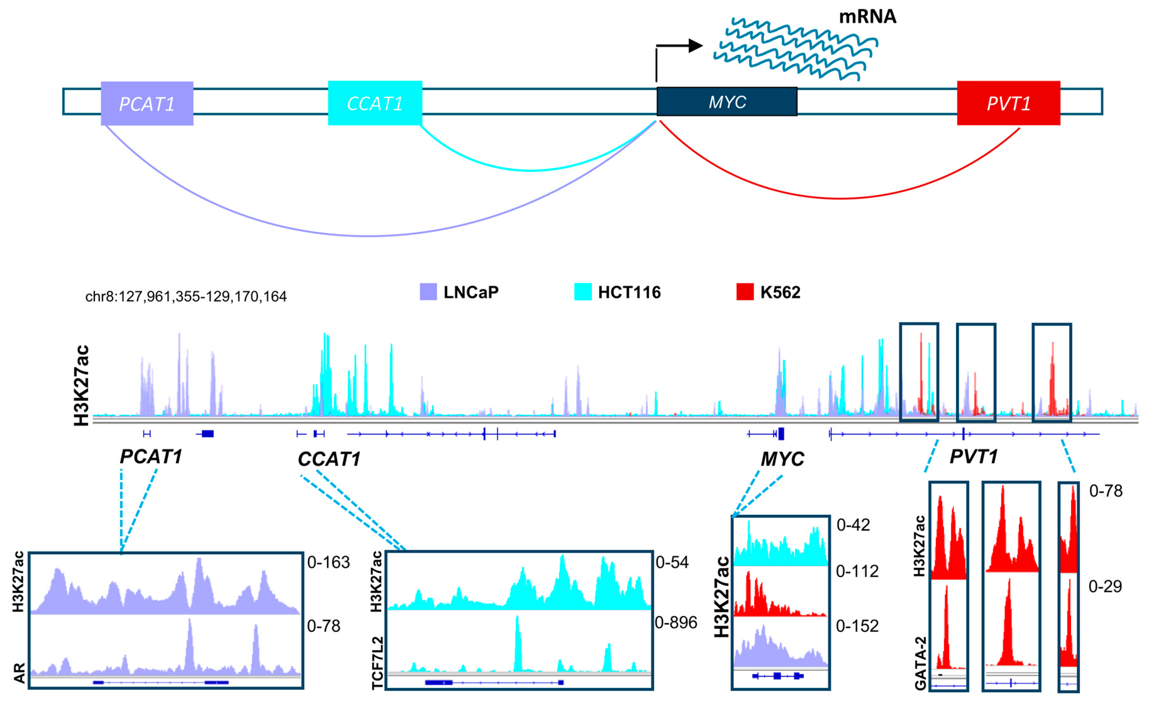 Epigenomes 02 00008 g002 Epigenomes 02 00008 g002