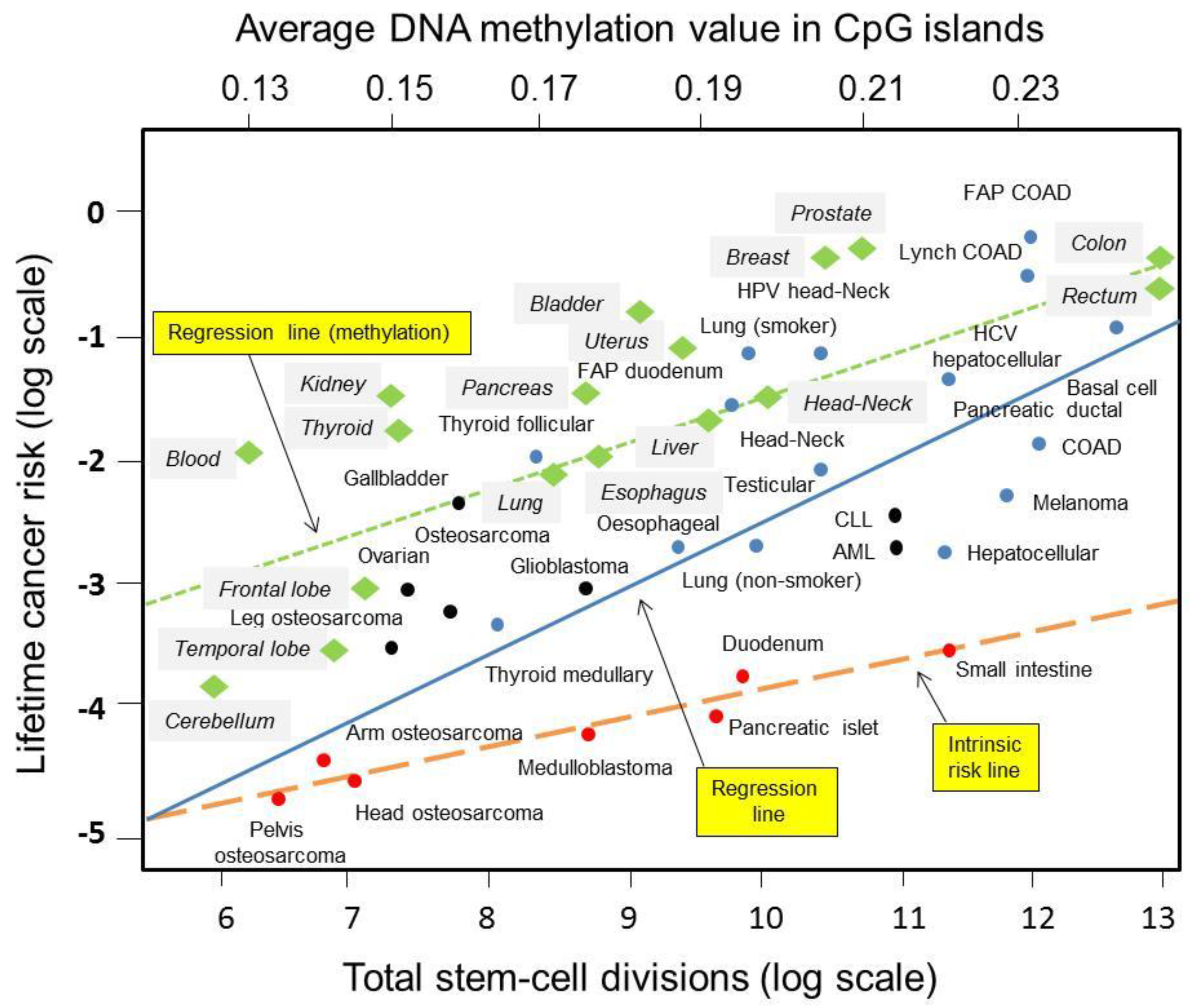 Epigenomes 02 00013 g001 Epigenomes 02 00013 g001