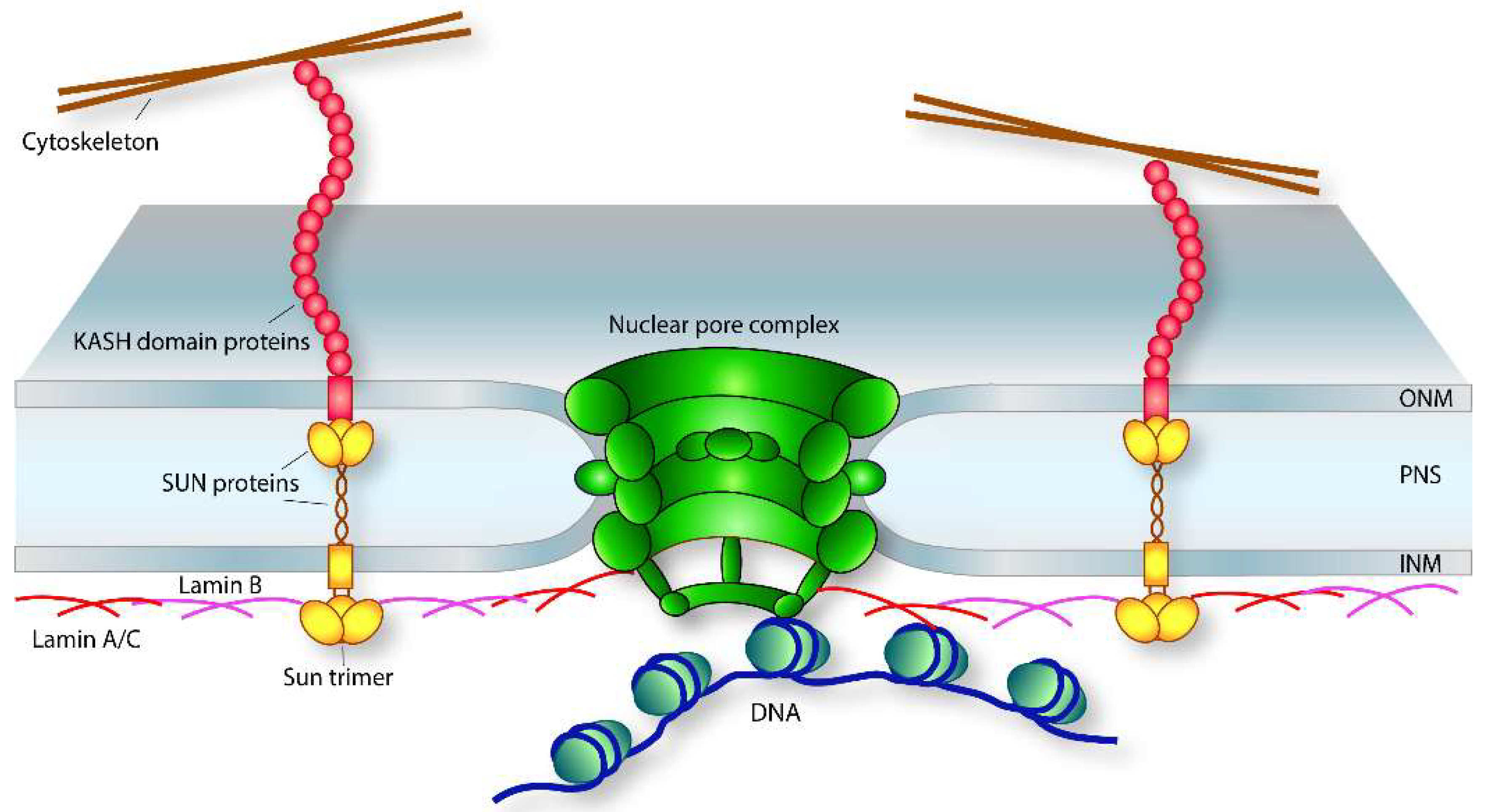 Epigenomes 02 00015 g001 Epigenomes 02 00015 g001