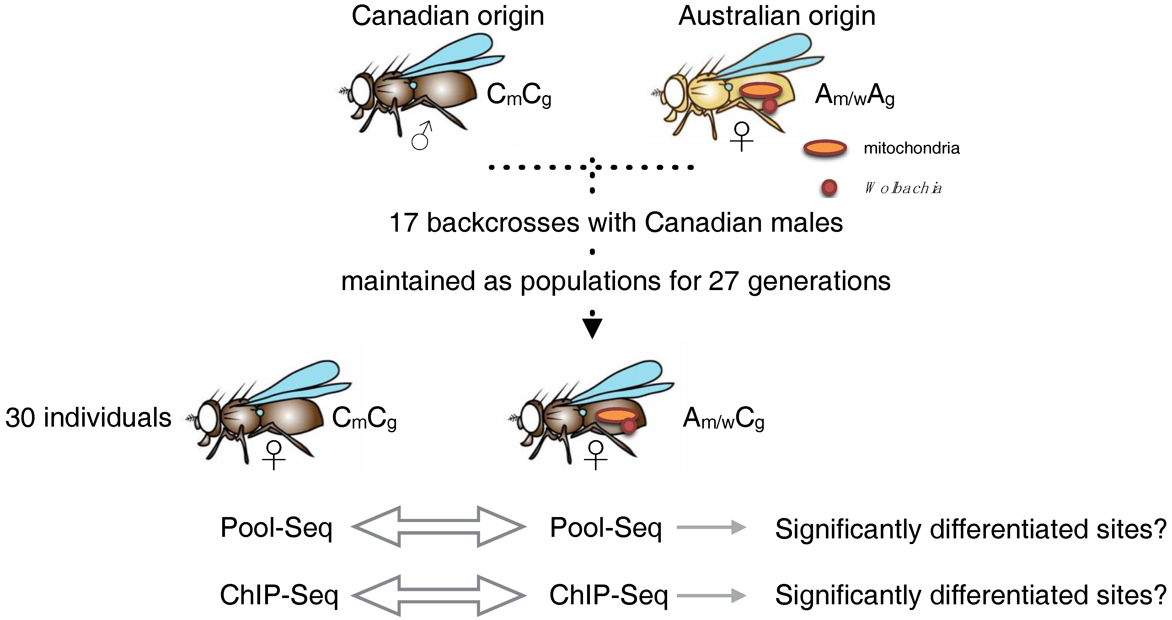 Epigenomes 02 00017 g001 Epigenomes 02 00017 g001