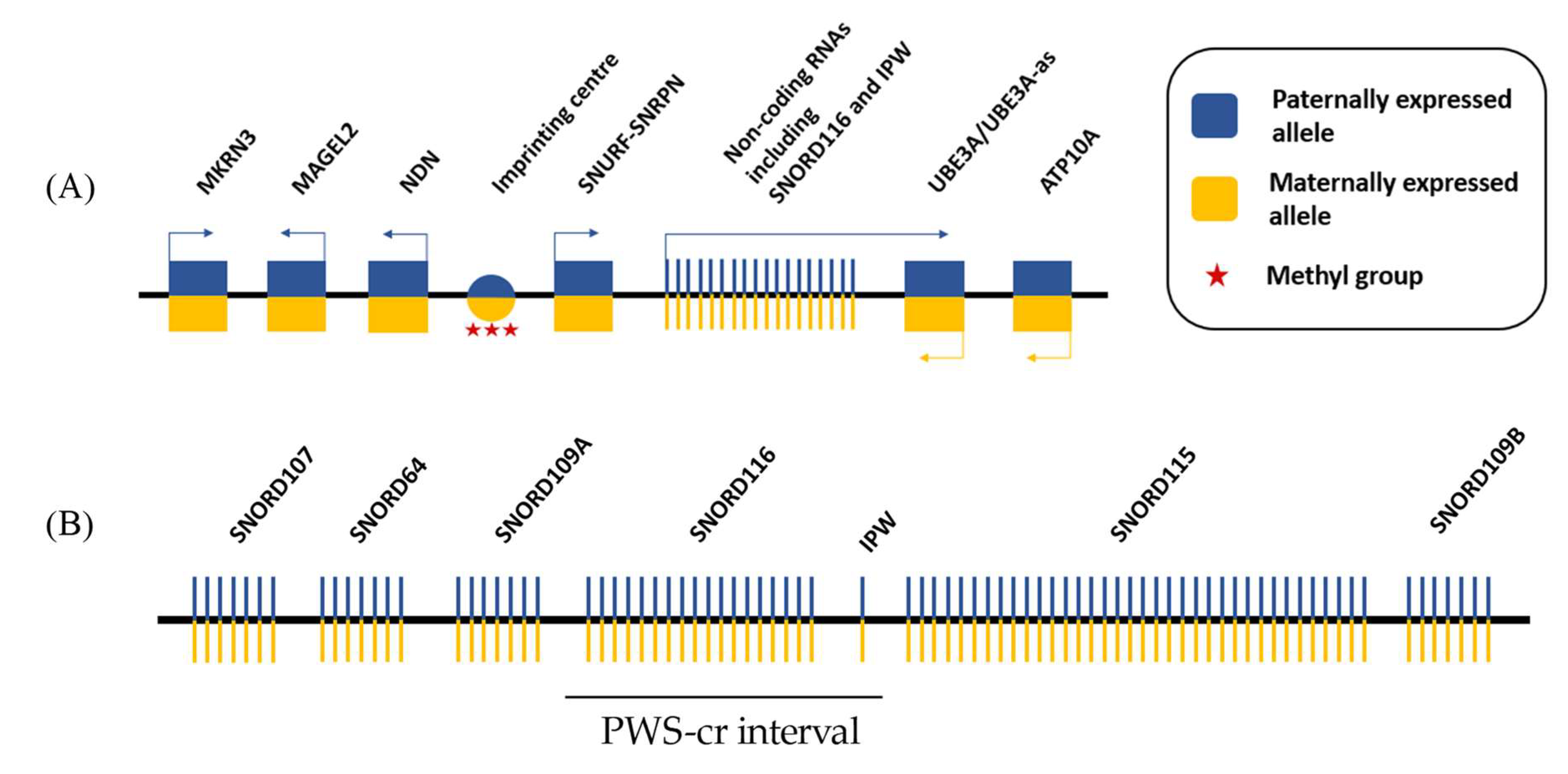 Epigenomes 02 00018 g001
