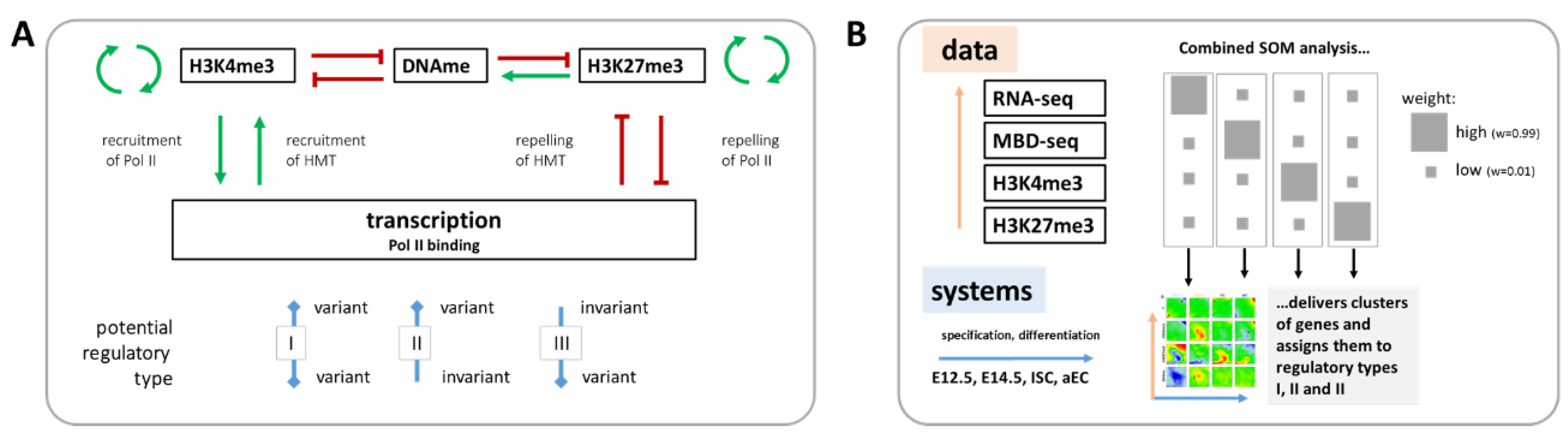 Epigenomes 02 00020 g001
