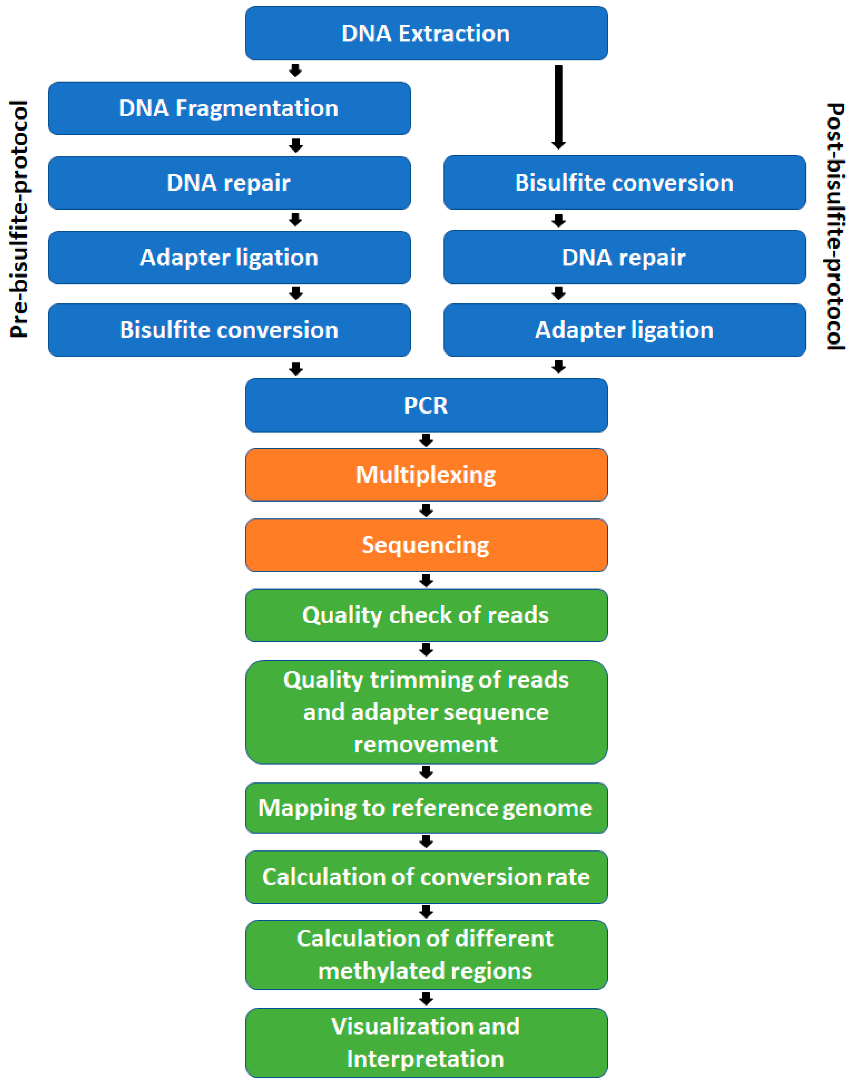 Epigenomes 02 00021 g003