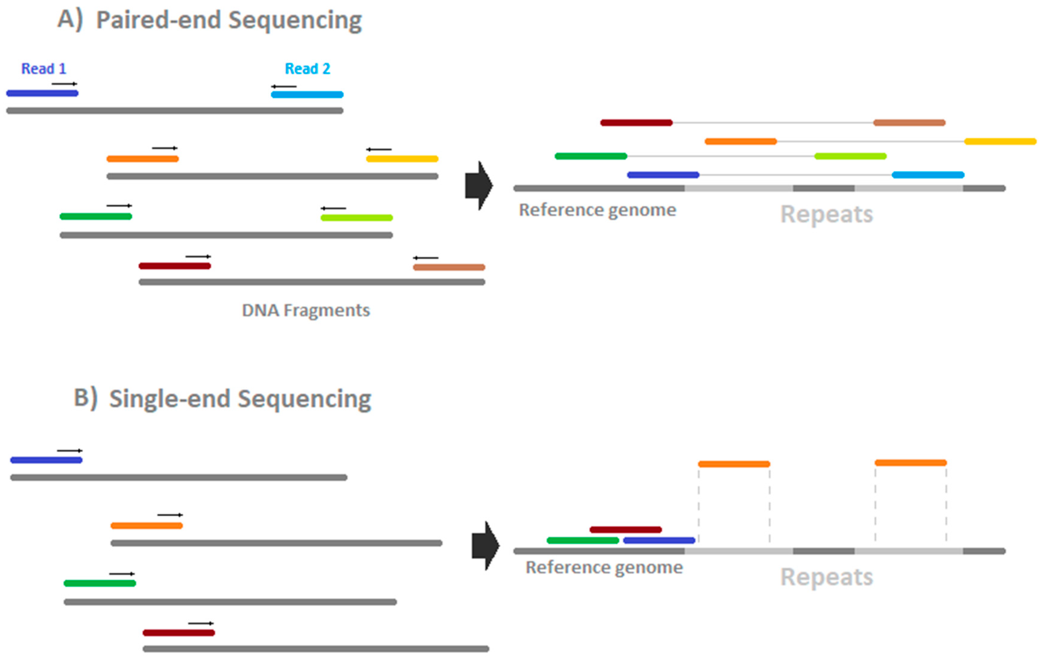 Epigenomes 02 00021 g004