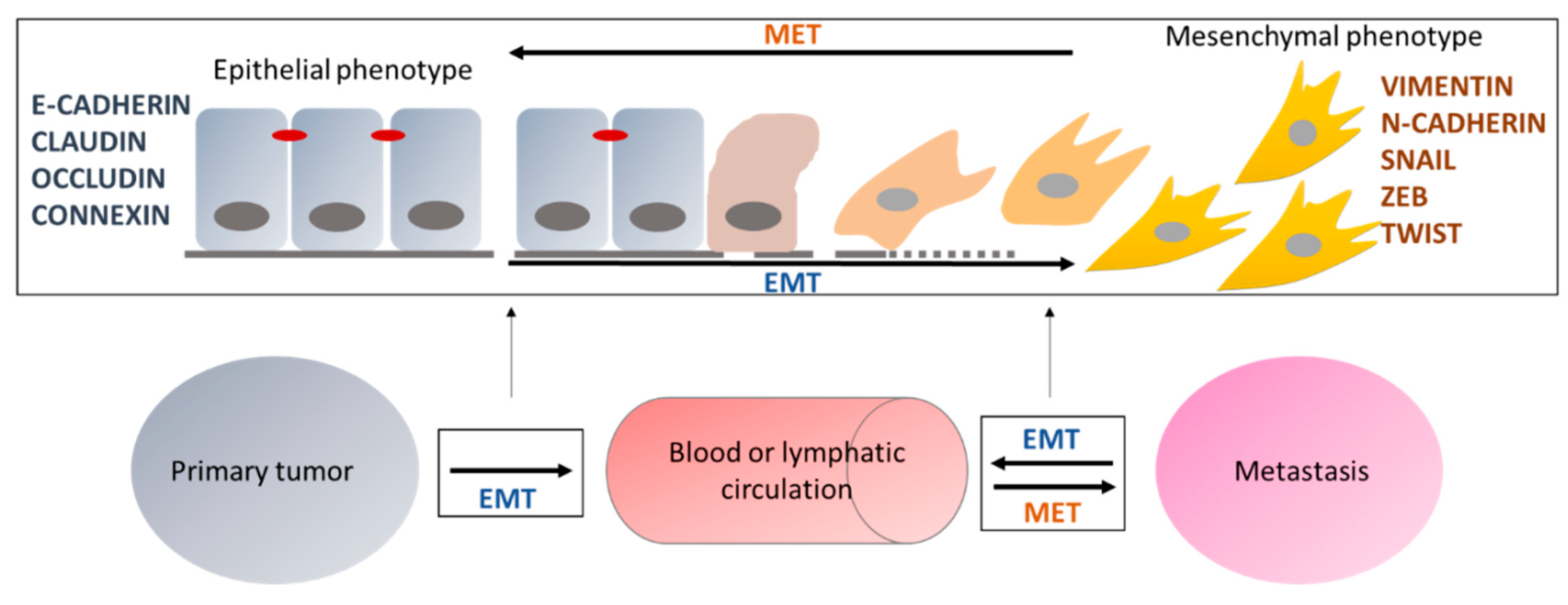 Epigenomes 03 00001 g001 Epigenomes 03 00001 g001