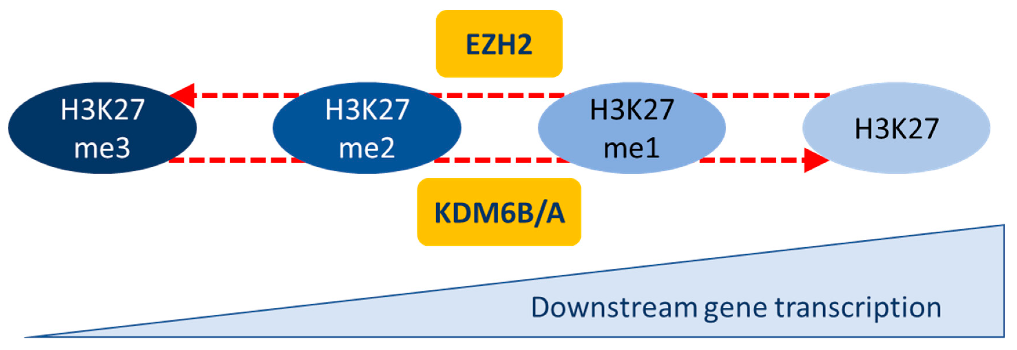 Epigenomes 03 00001 g002 Epigenomes 03 00001 g002