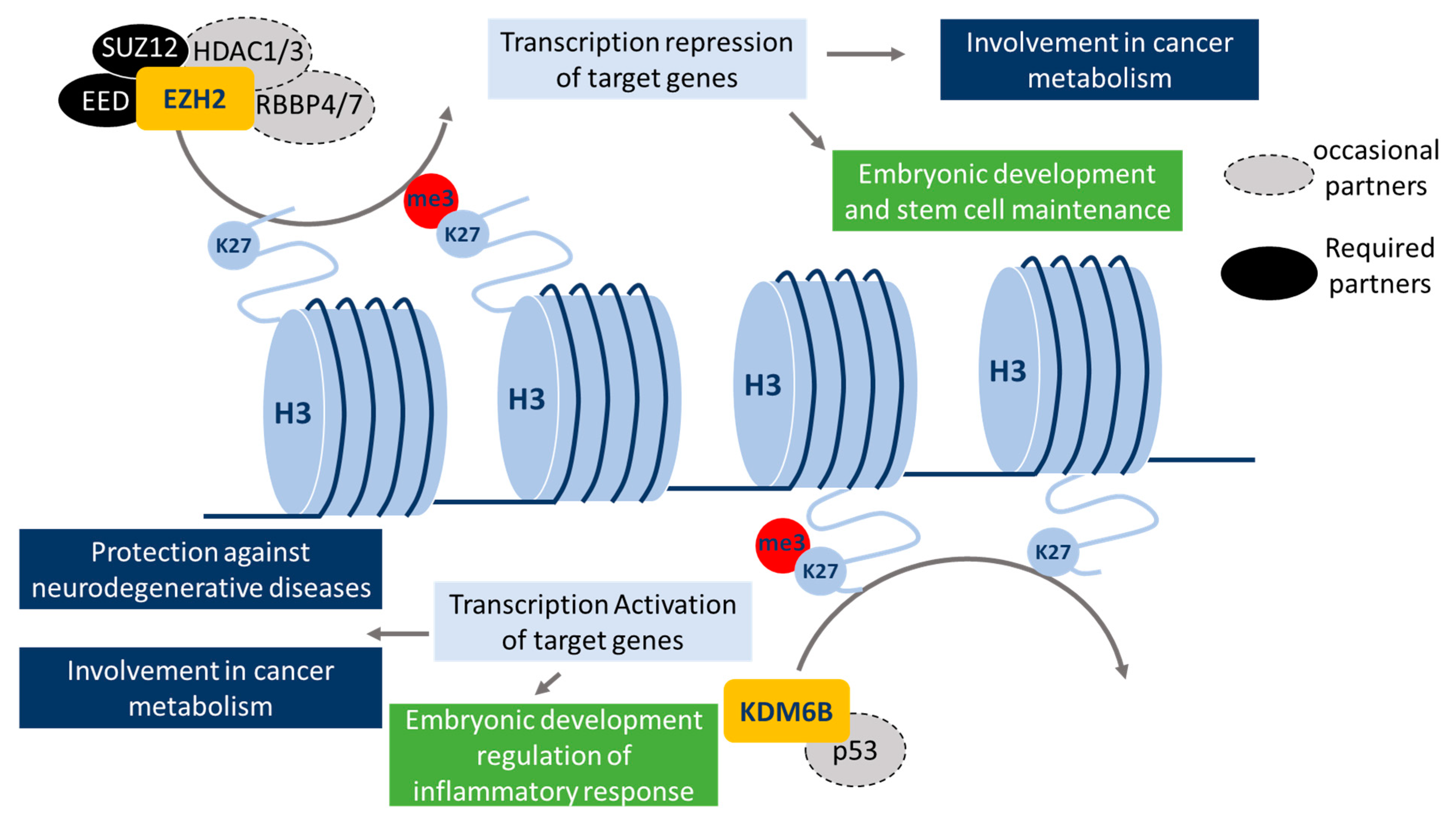 Epigenomes 03 00001 g003 Epigenomes 03 00001 g003