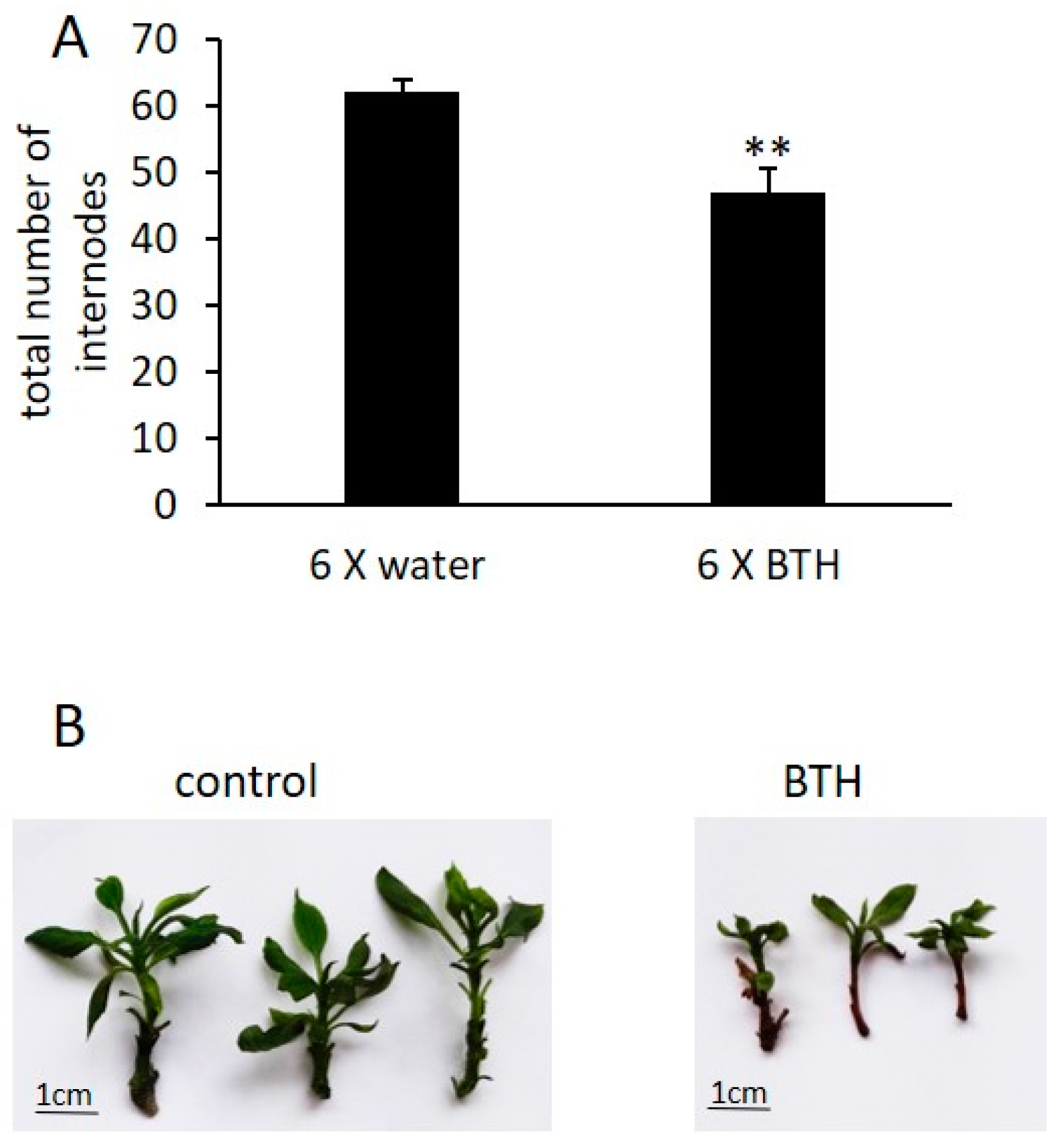 Epigenomes 03 00003 g0a1