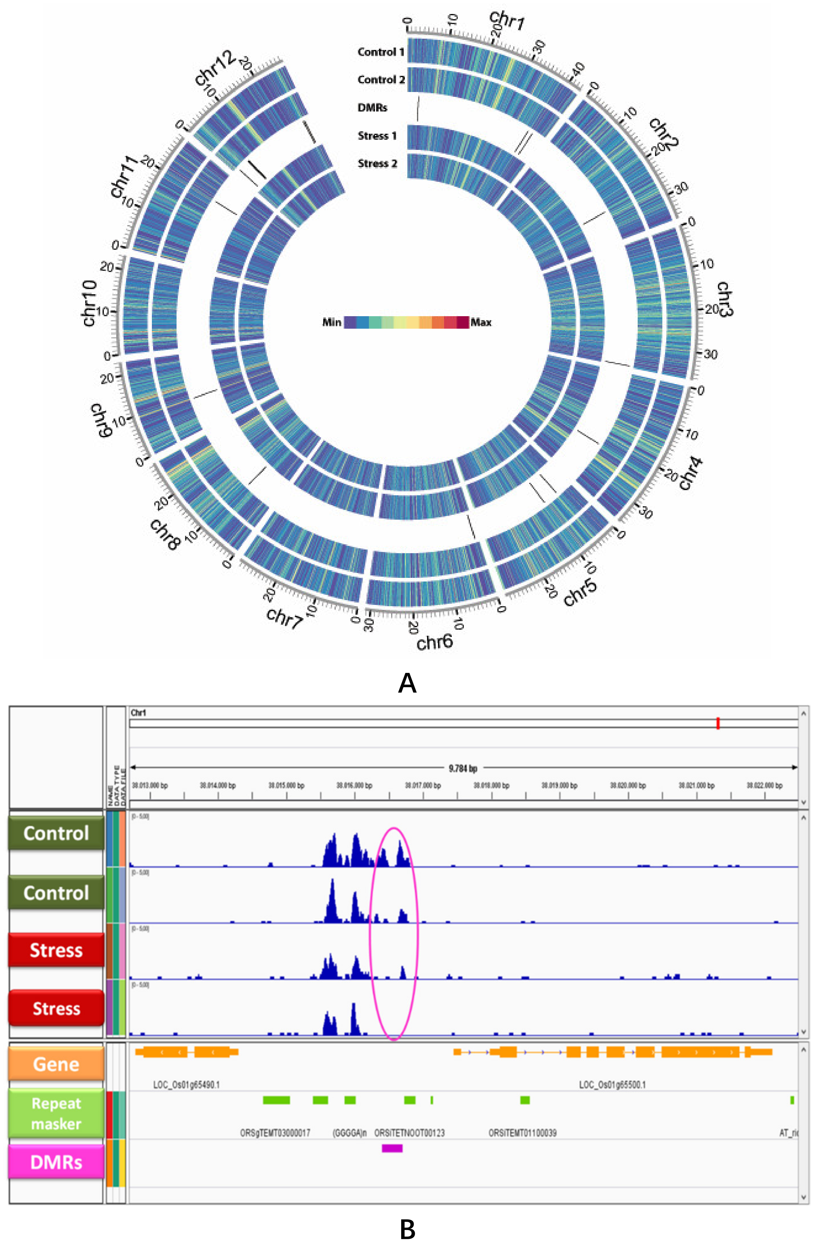 Epigenomes 03 00004 g001