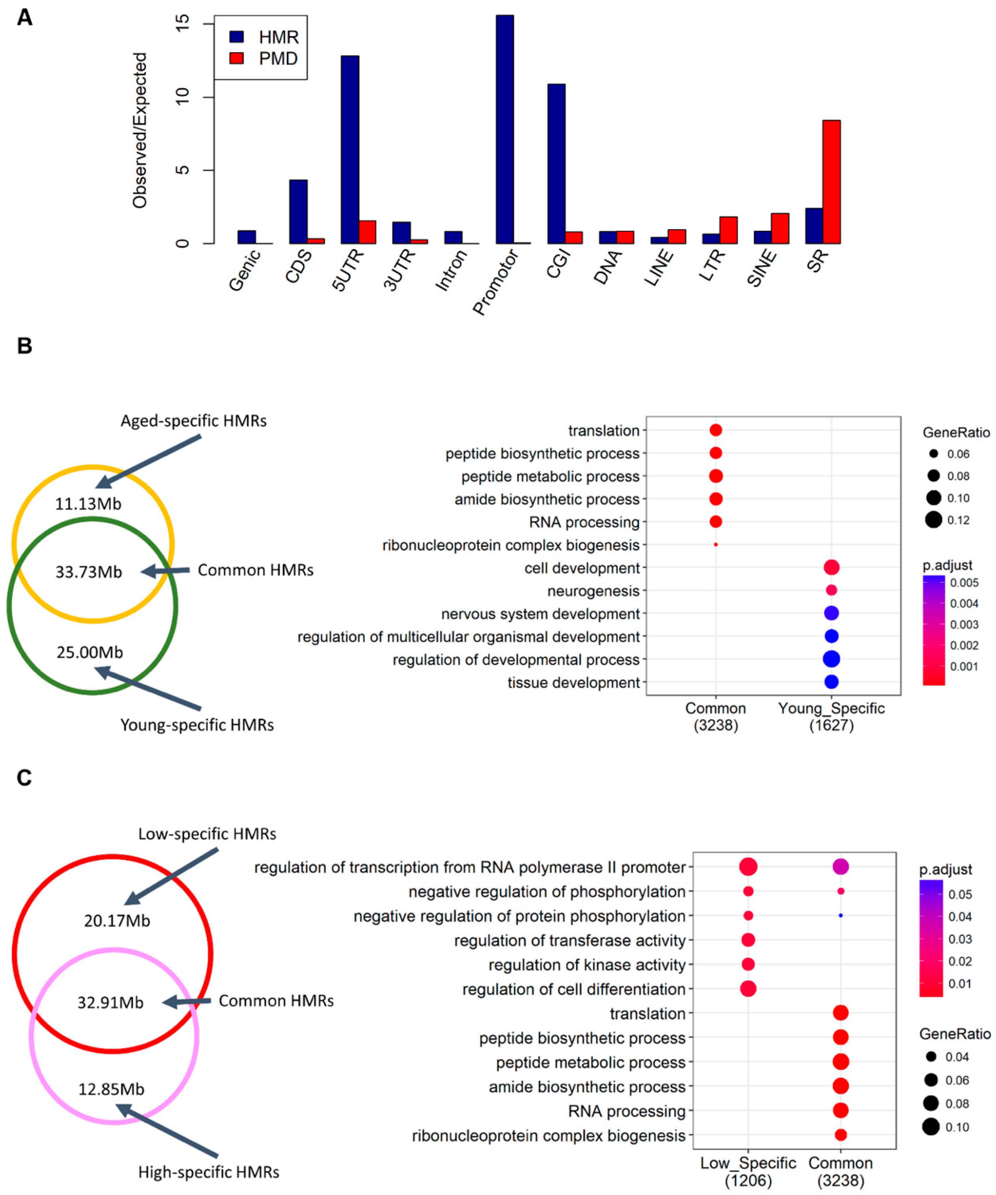 Epigenomes 03 00010 g002