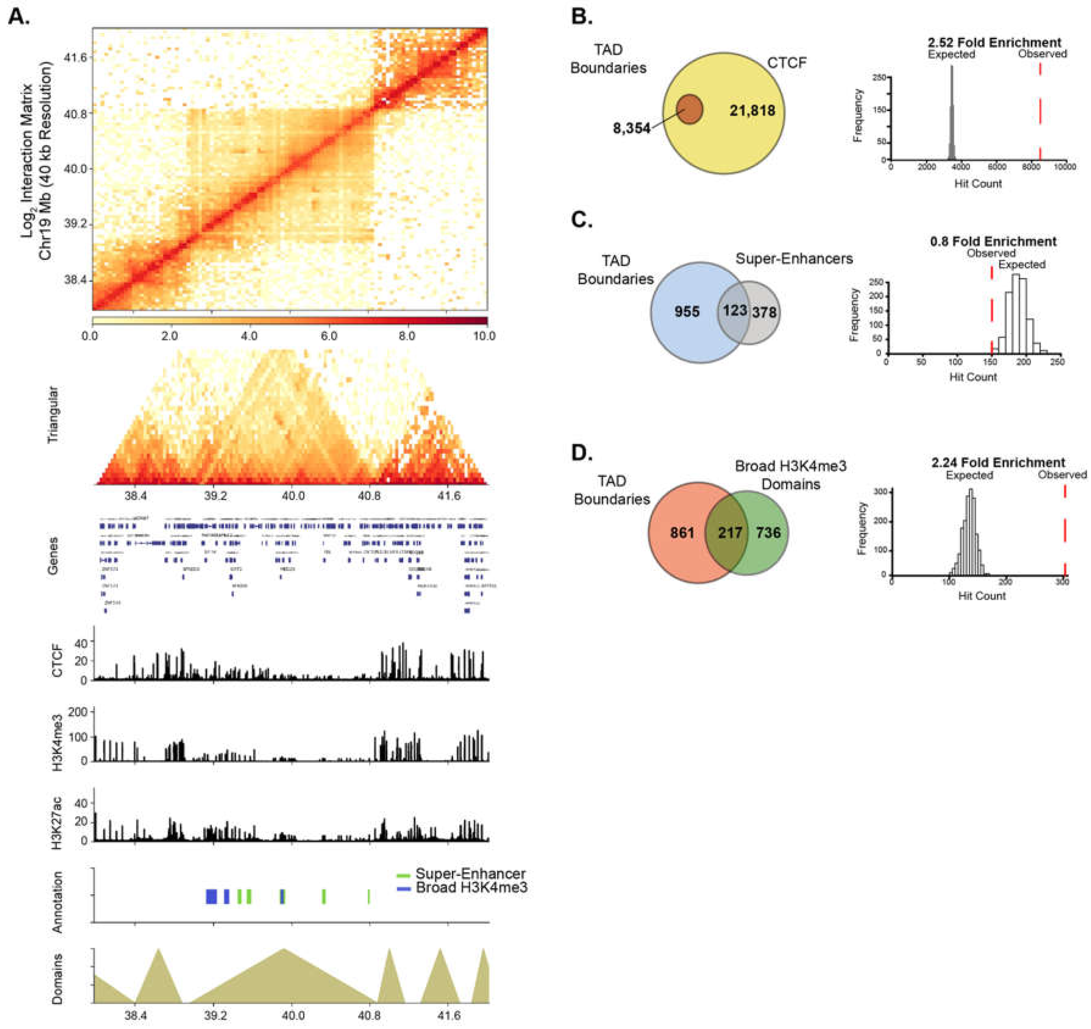 Epigenomes 03 00011 g005 Epigenomes 03 00011 g005