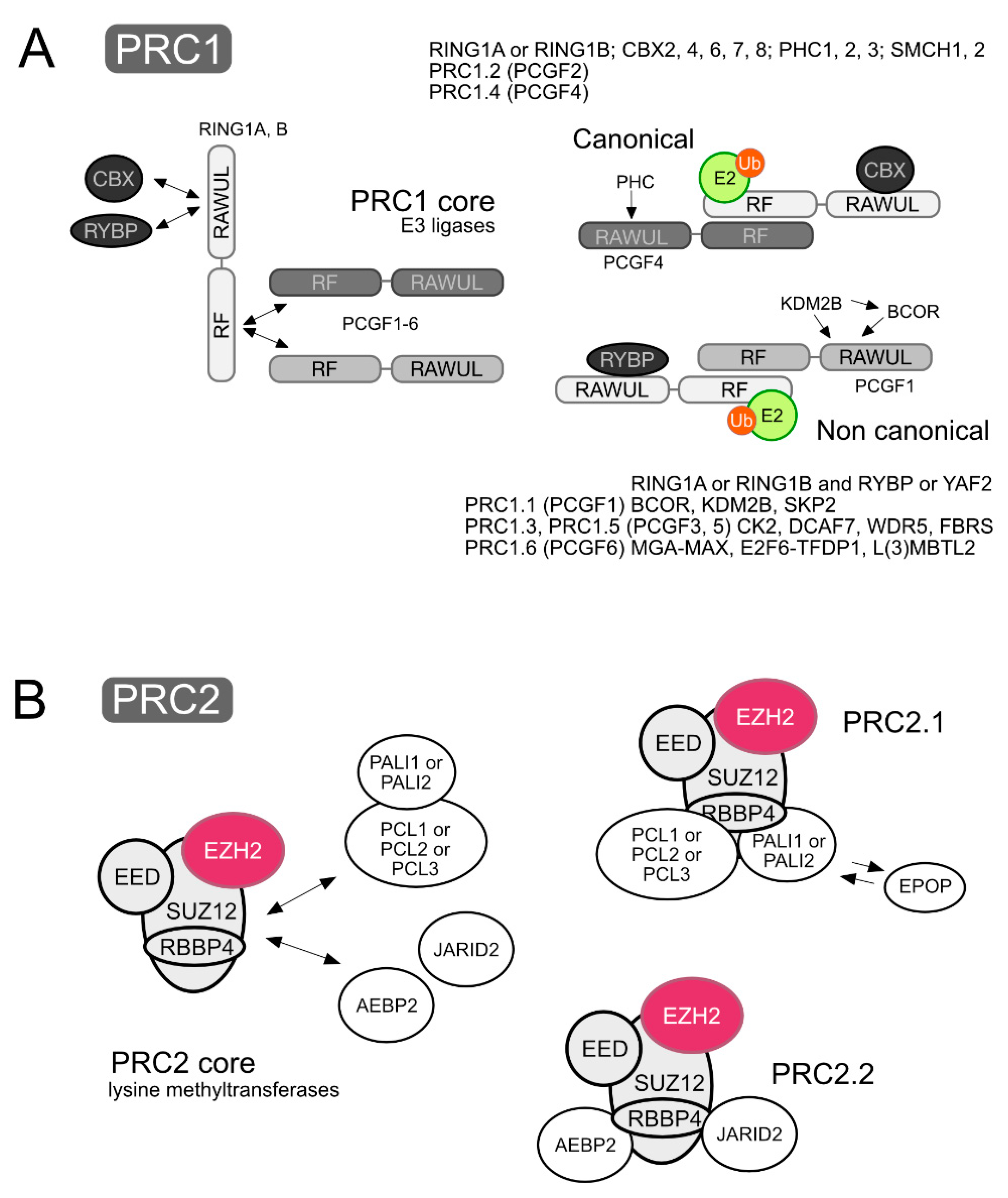 Epigenomes 03 00012 g001