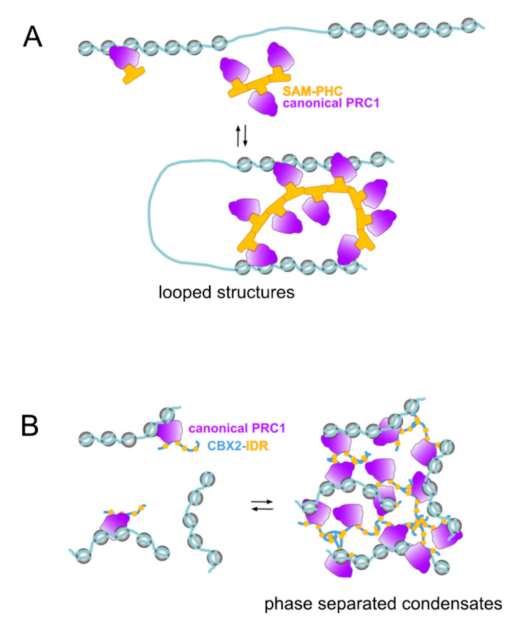 Epigenomes 03 00012 g002