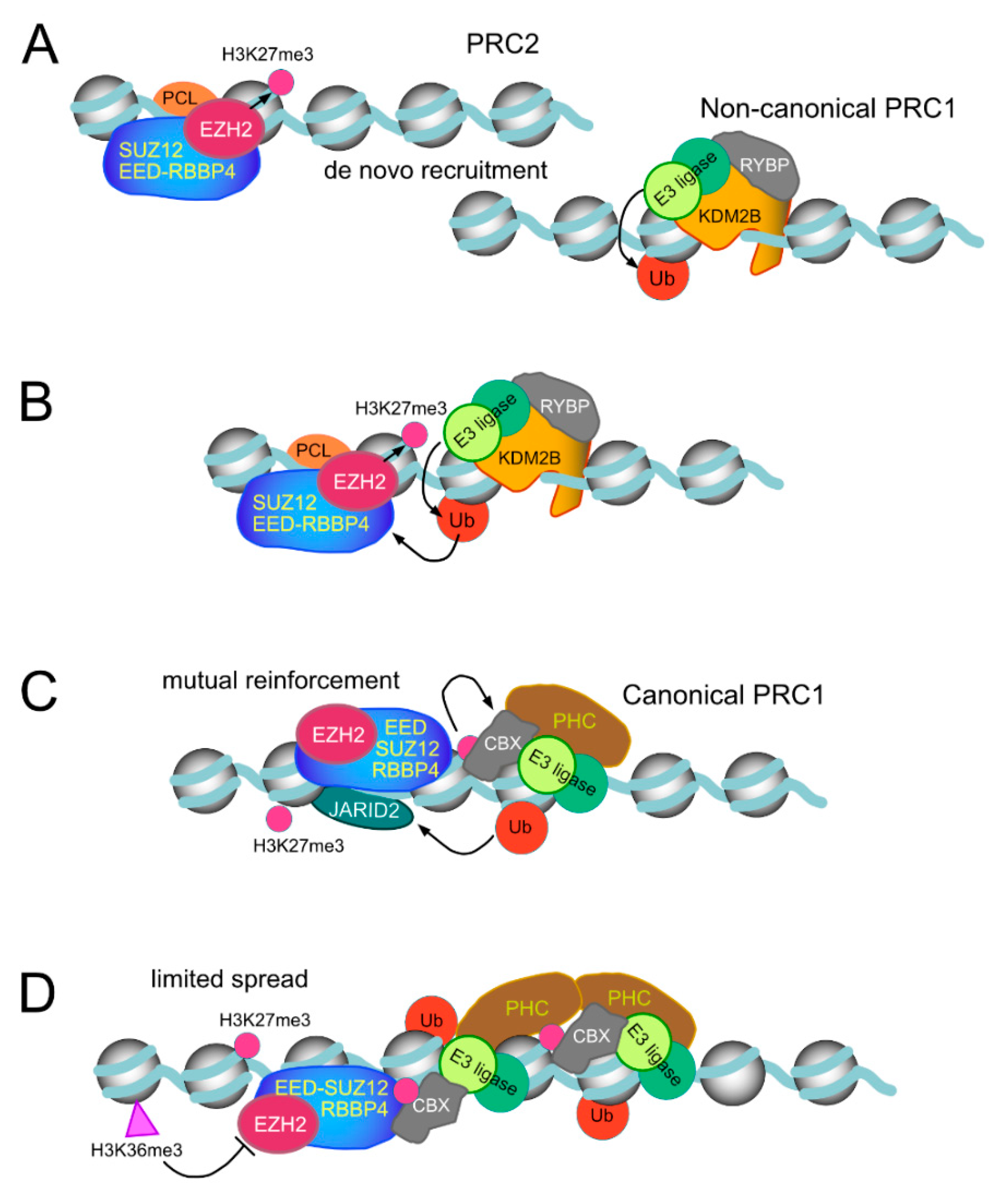 Epigenomes 03 00012 g004