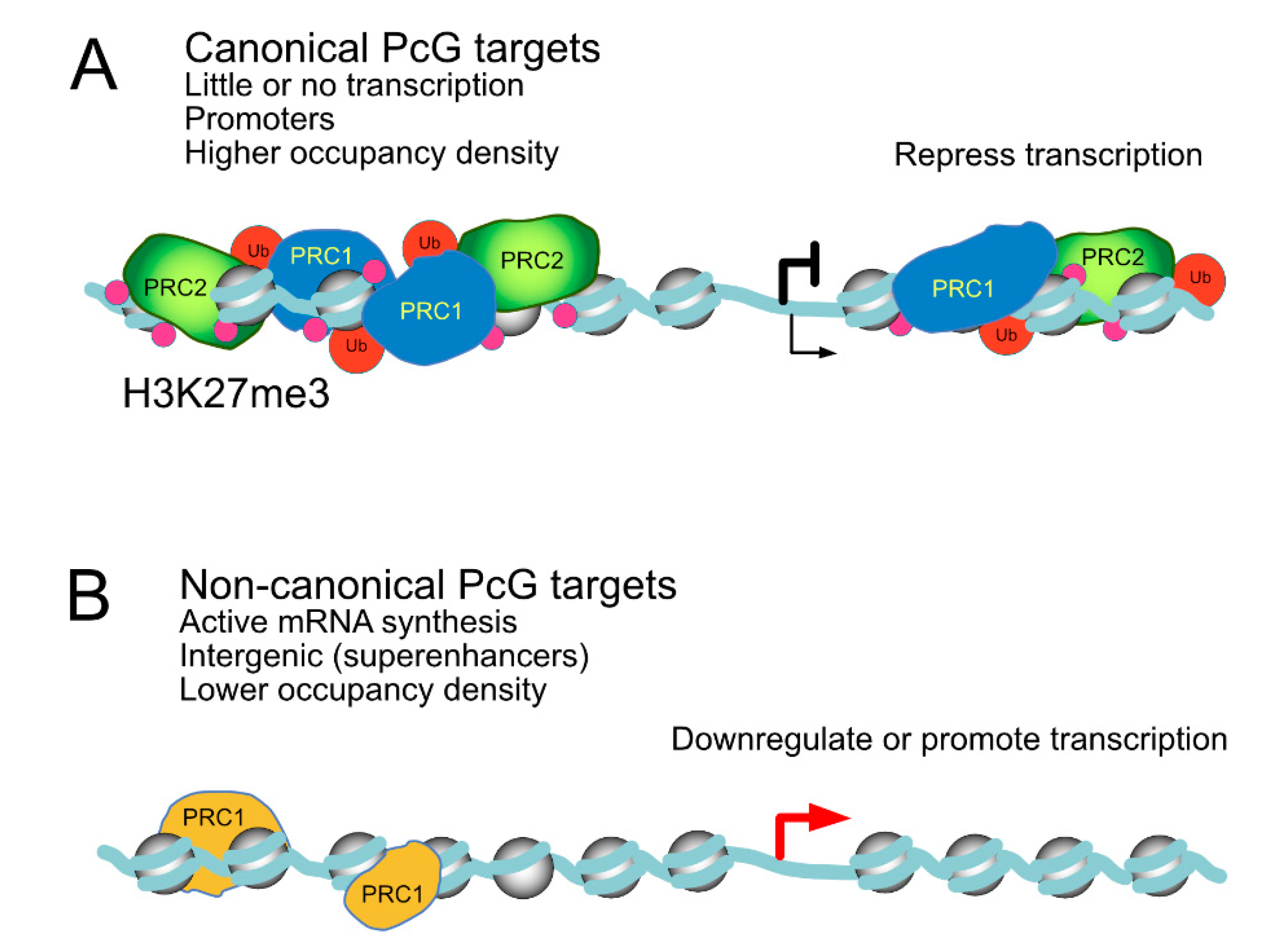 Epigenomes 03 00012 g005